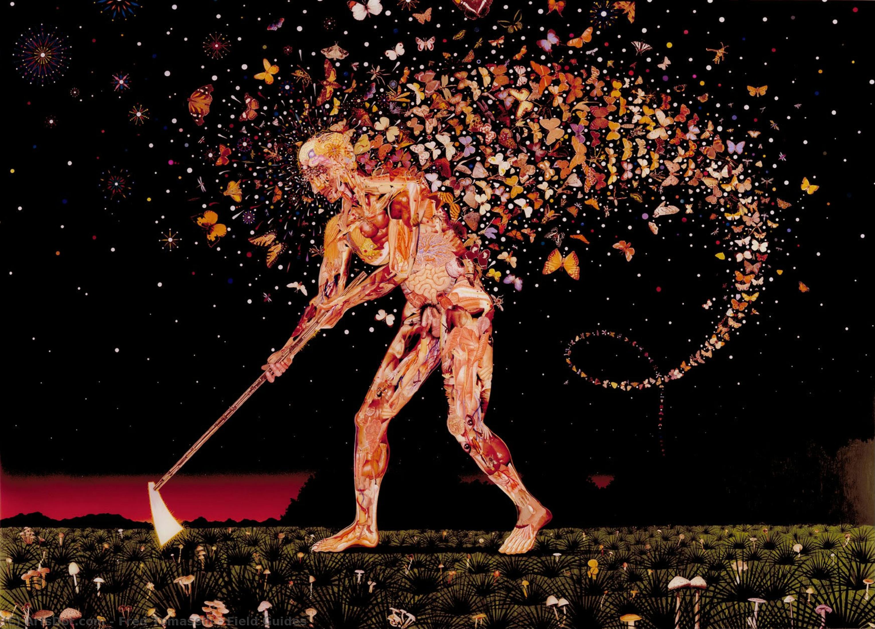 Field Guides — Fred Tomaselli