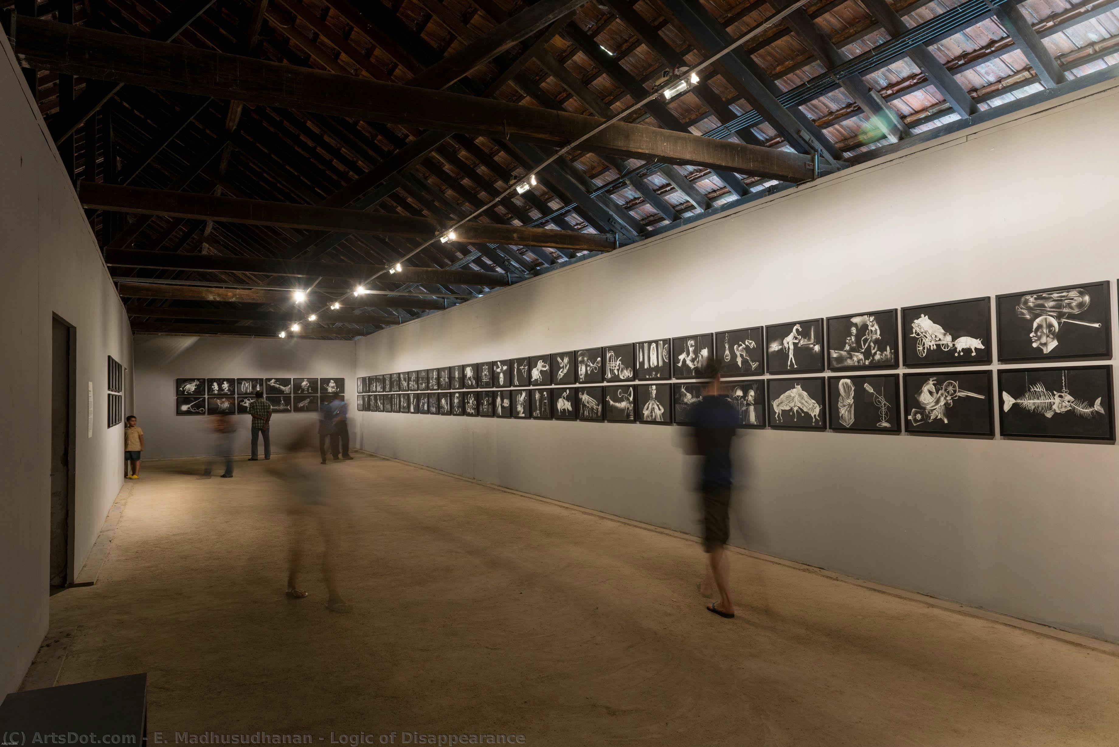 Logic Of Disappearance — E. Madhusudhanan