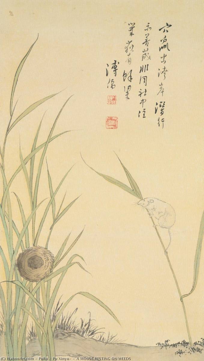 A Mouse Resting On Weeds — Puru ( Pu Xinyu)