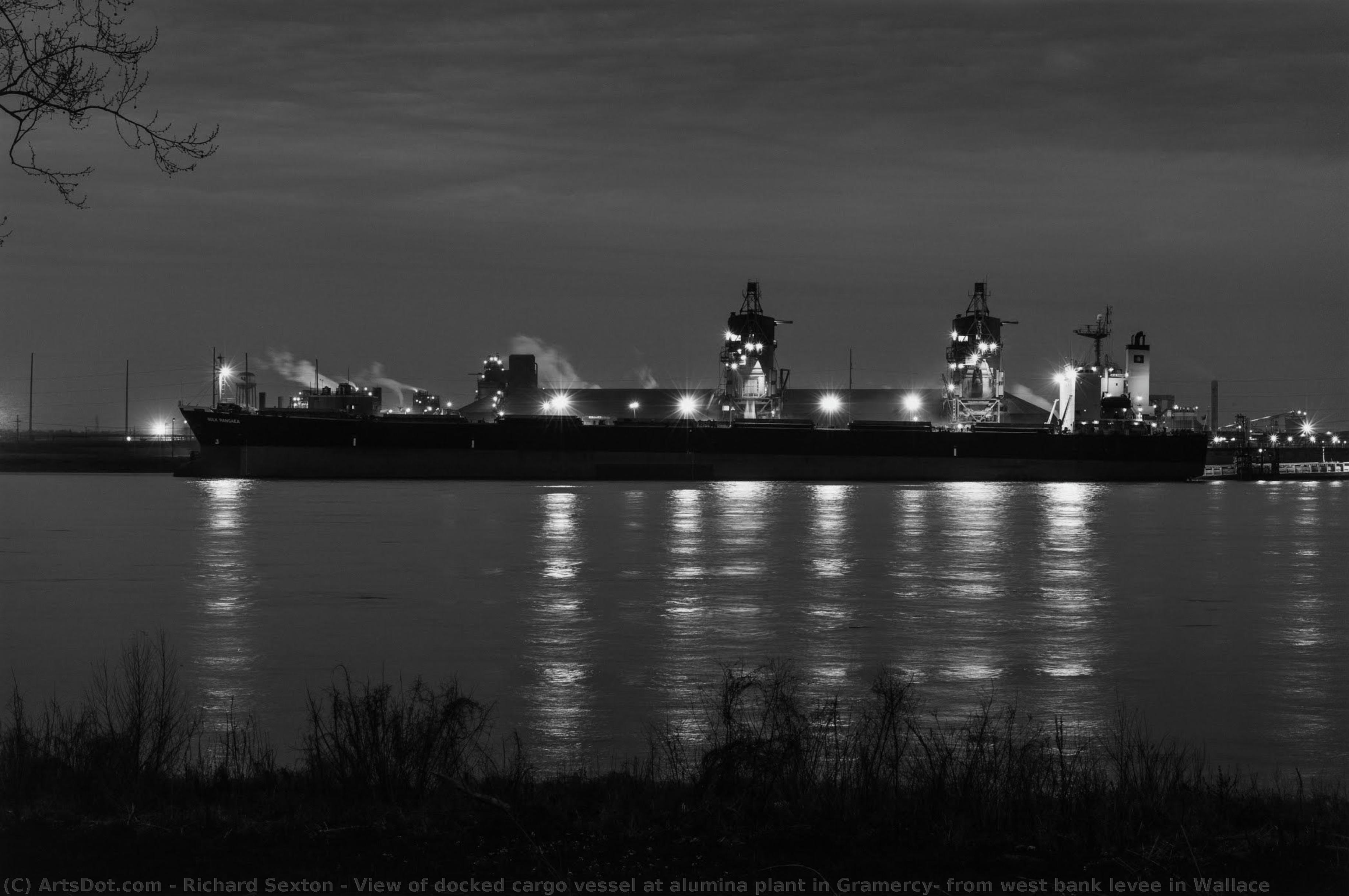 View Of Docked Cargo Vessel At Alumina Plant In Gramercy; From West Bank Levee In Wallace — Ričard Sekston