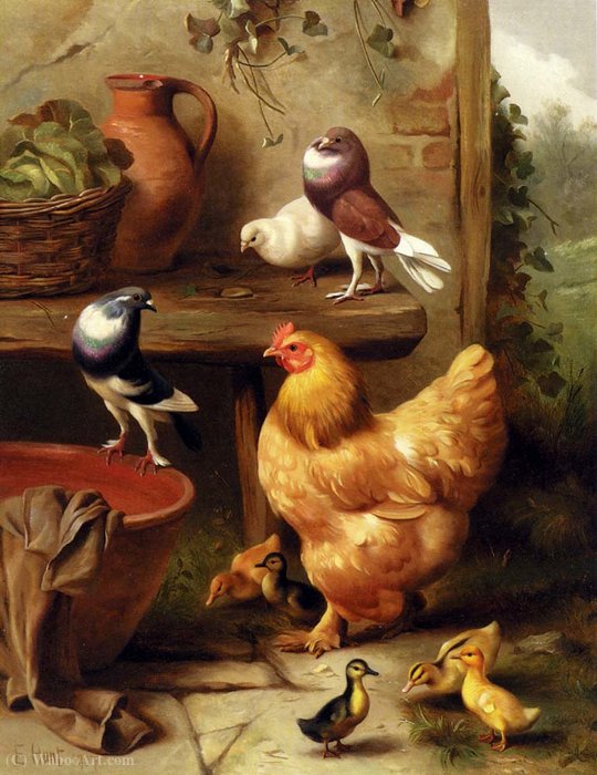 A Chicken Doves Pigeons And Ducklings — Edgar Hunt