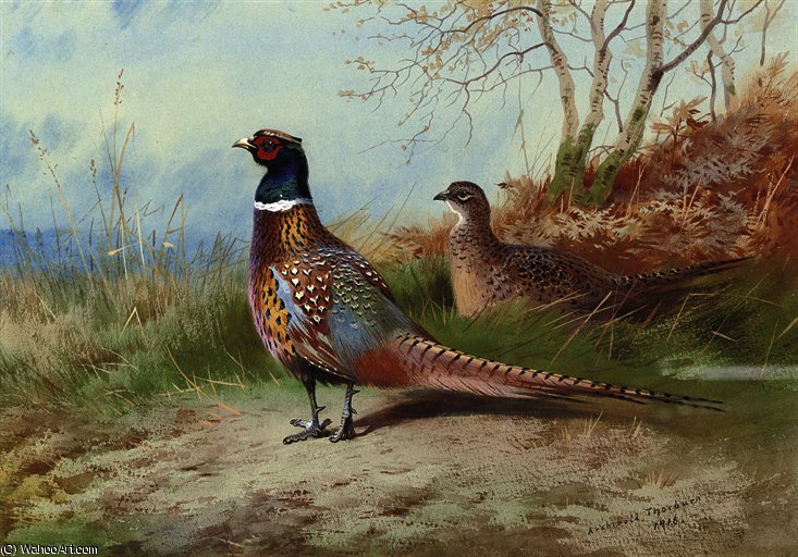 A Cock And Hen Pheasant Emerging From Bracken — Archibald Thorburn