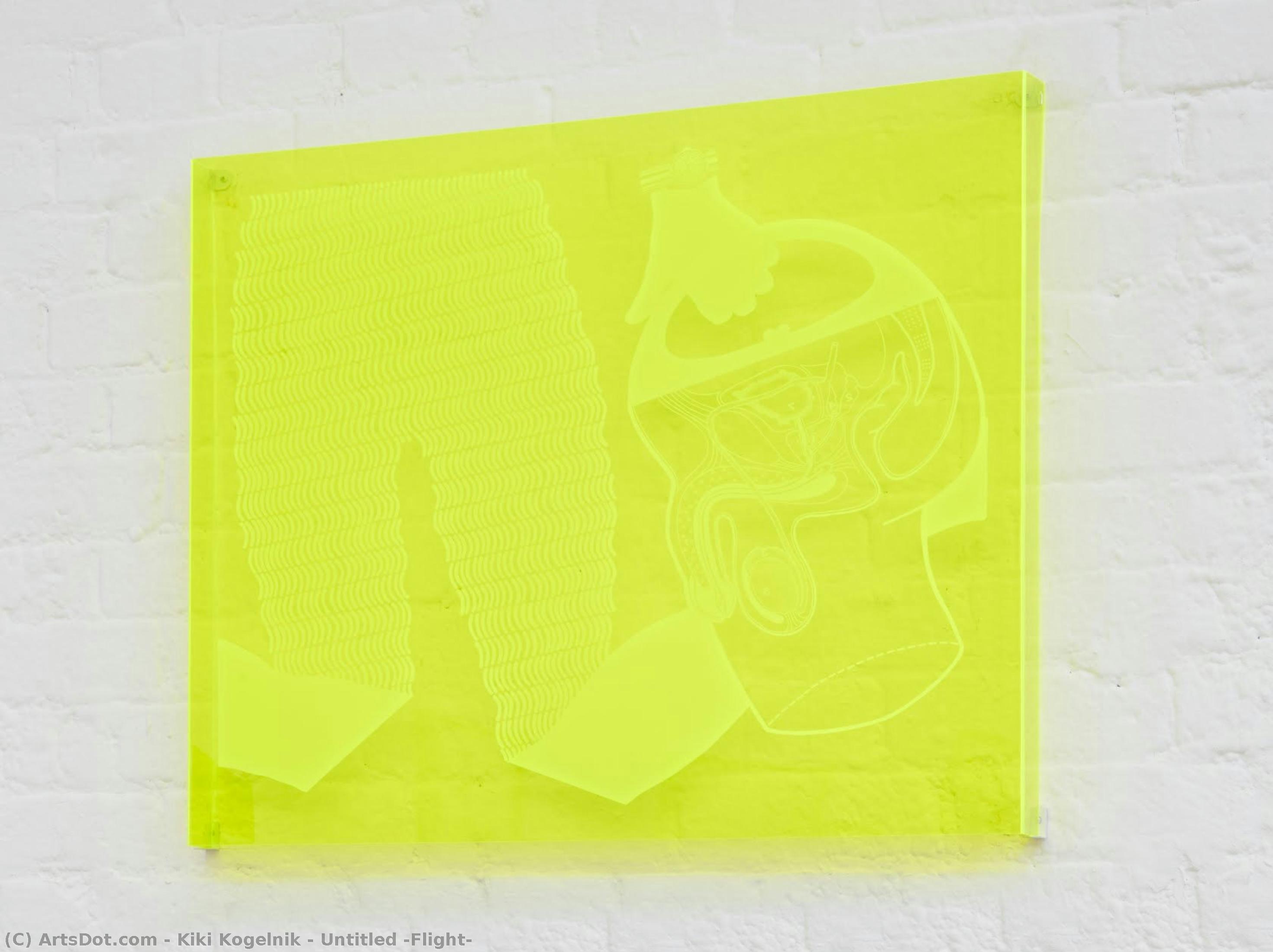 Untitled (flight) — Kiki Kogelnik