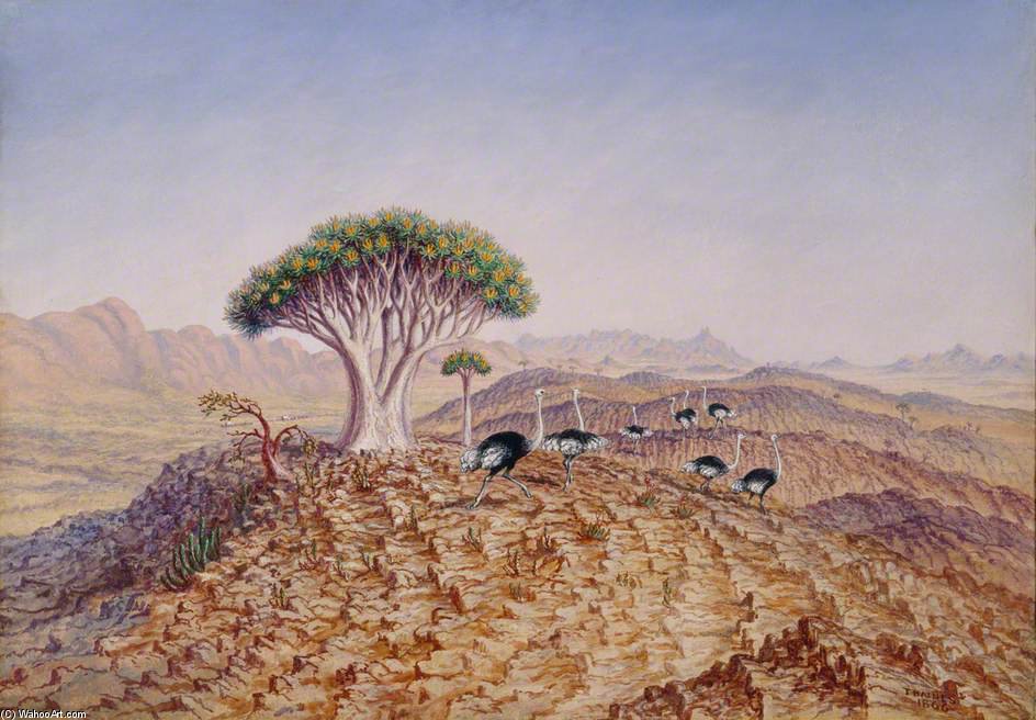 The Great Tree-aloe Of Damaraland — Thomas Baines
