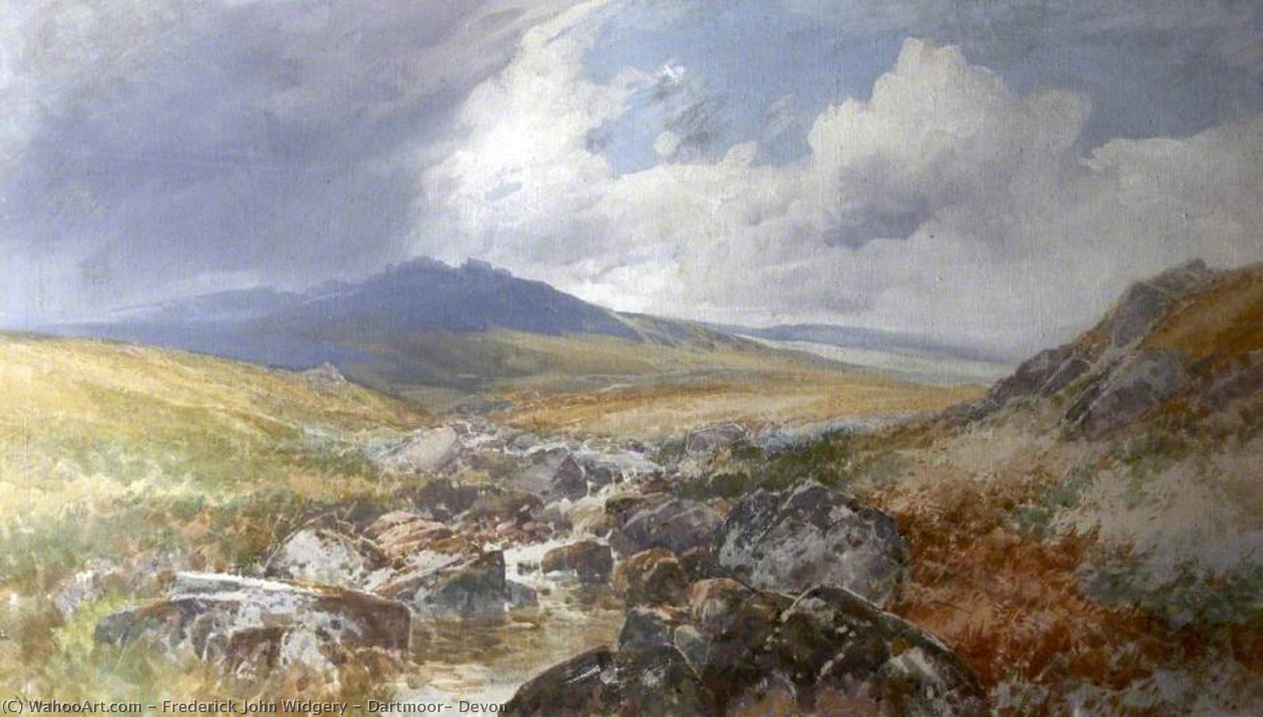 Dartmoor, Devon — Frederick John Widgery
