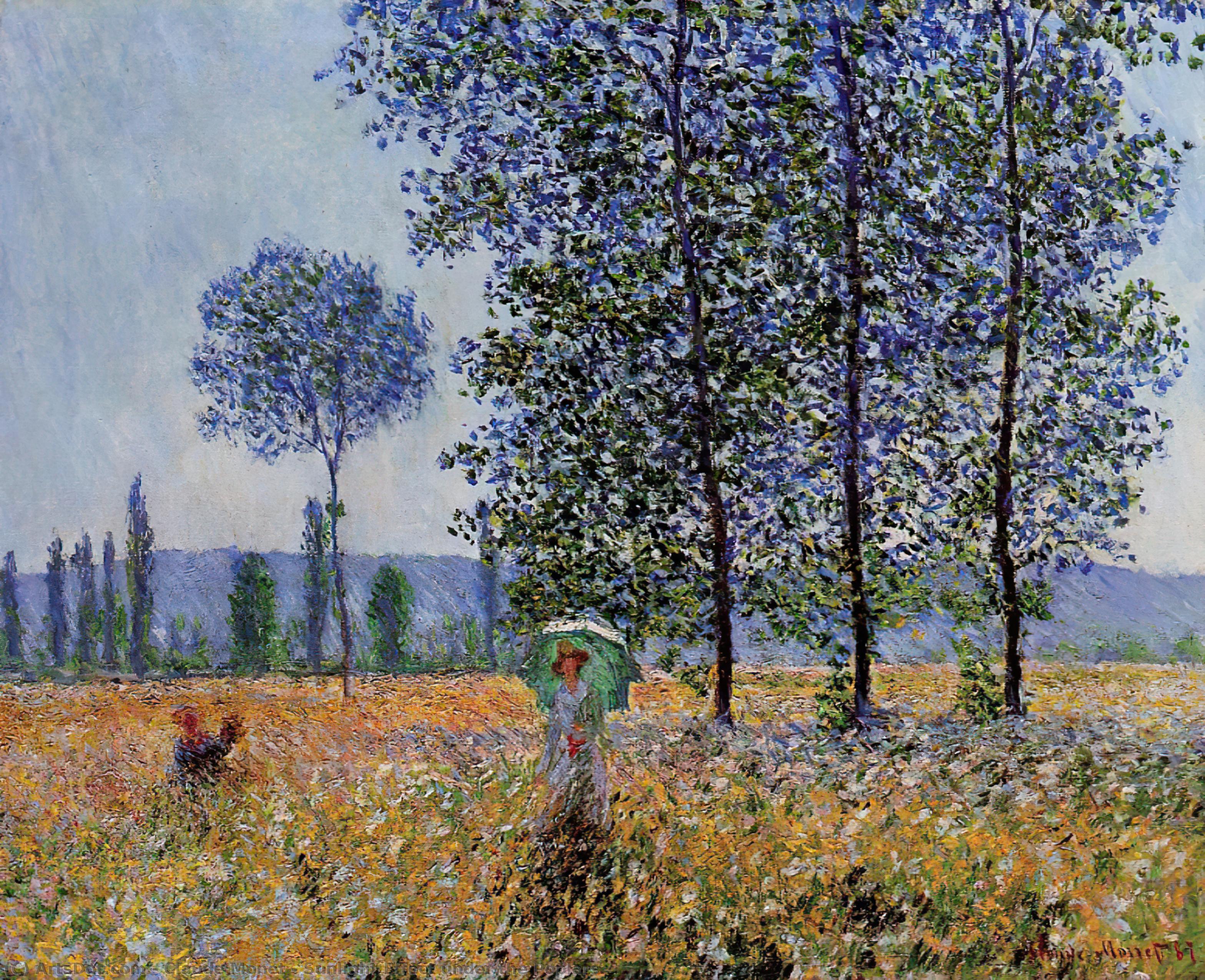 Sunlight Effect Under The Poplars — クロード・モネ