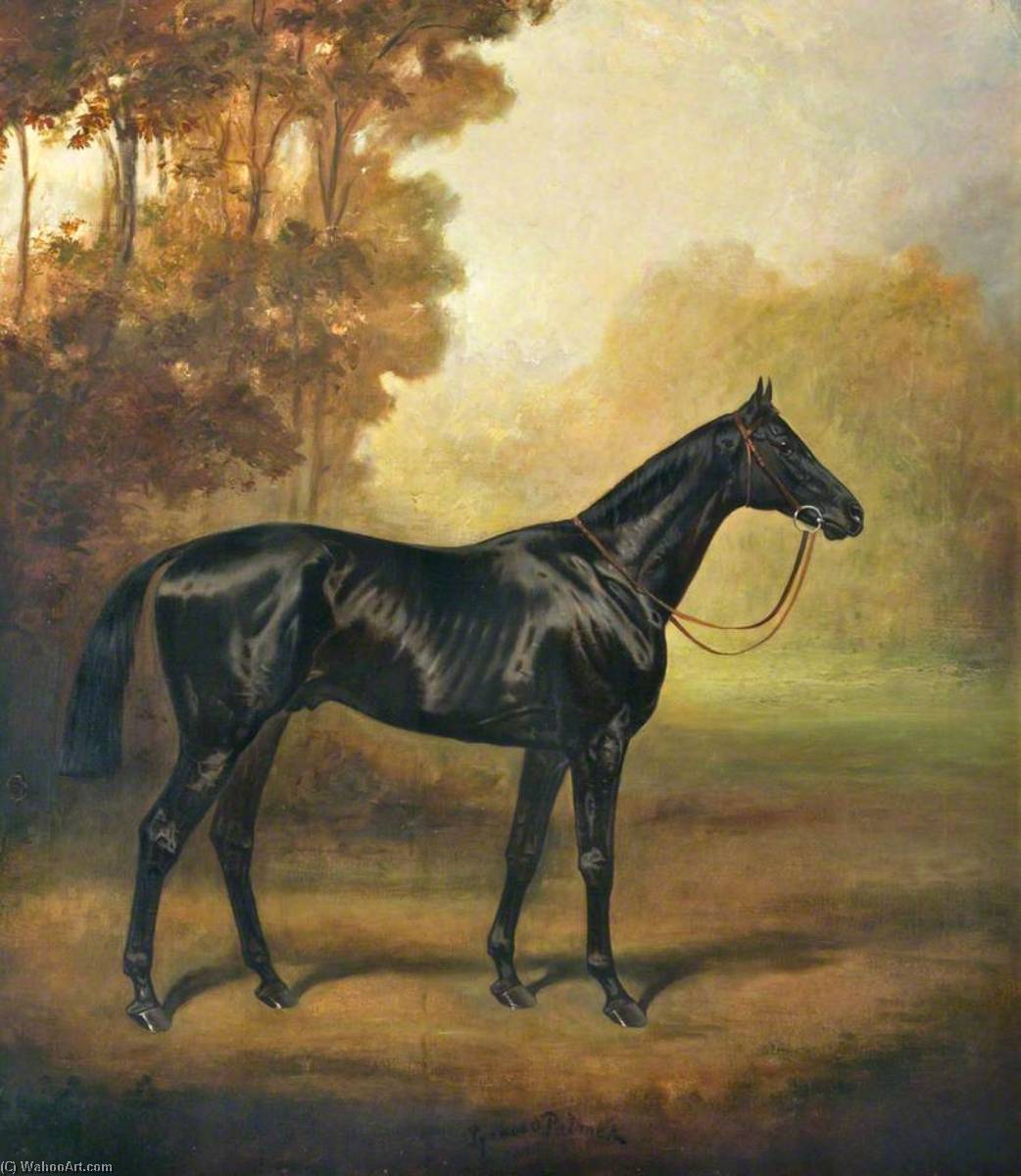 'black Arrow' — James Lynwood Palmer