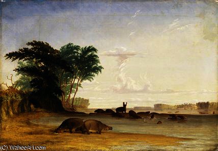 Herd Of Hippopotami Near The Mouth Of The Luabo — Thomas Baines