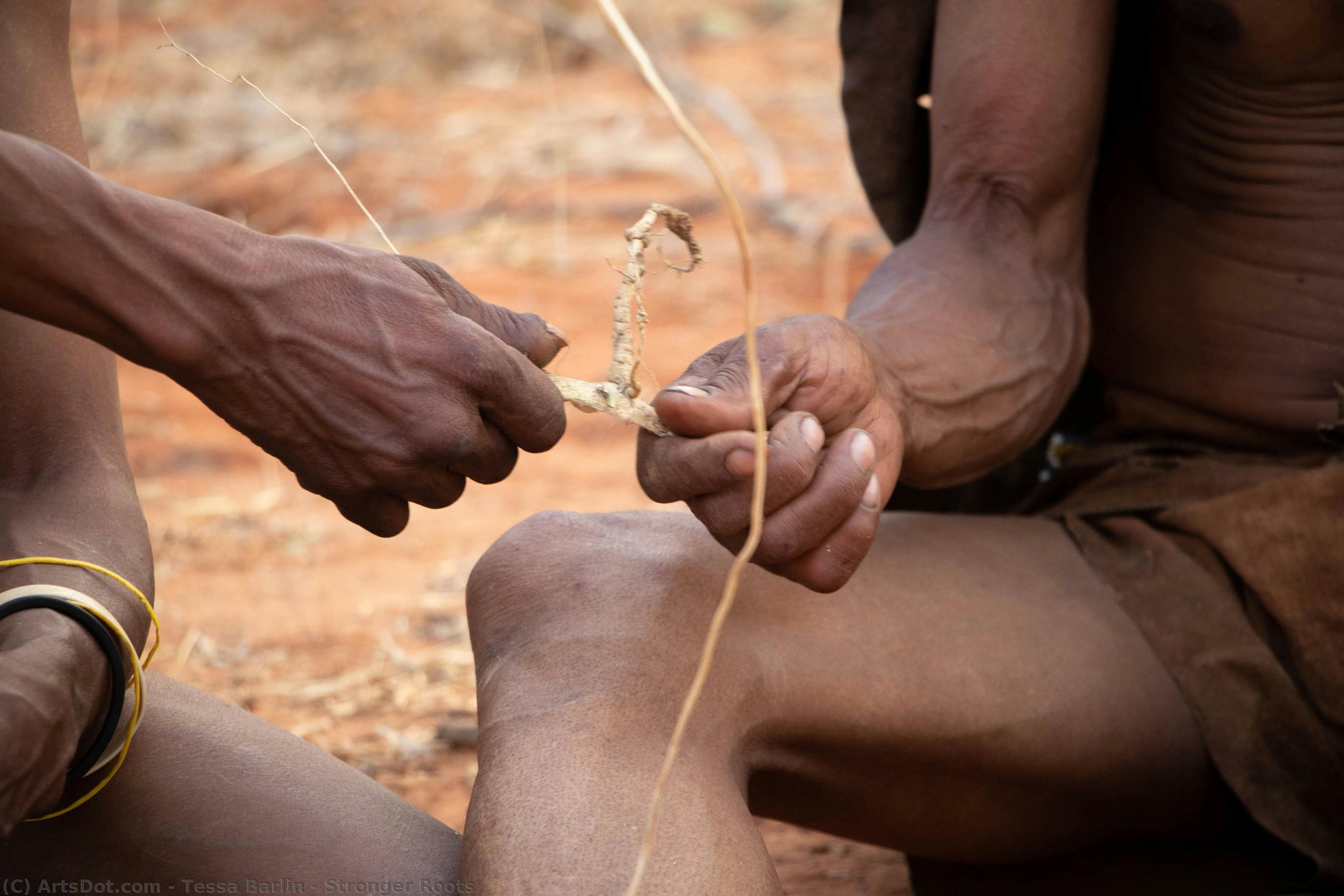 Stronger Roots — Tesa Barlin