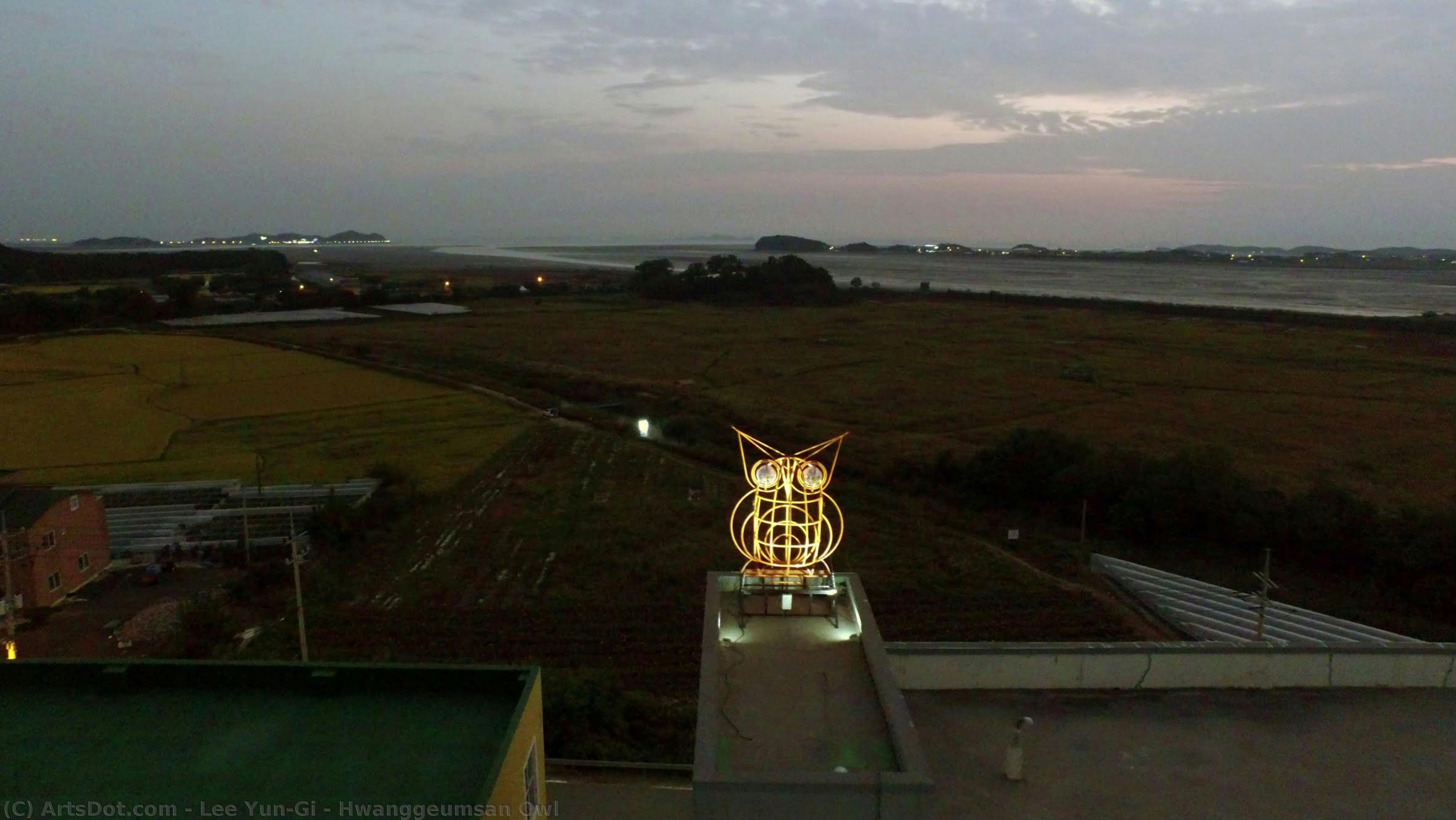 Hwanggeumsan Owl — Lee Yun-gi