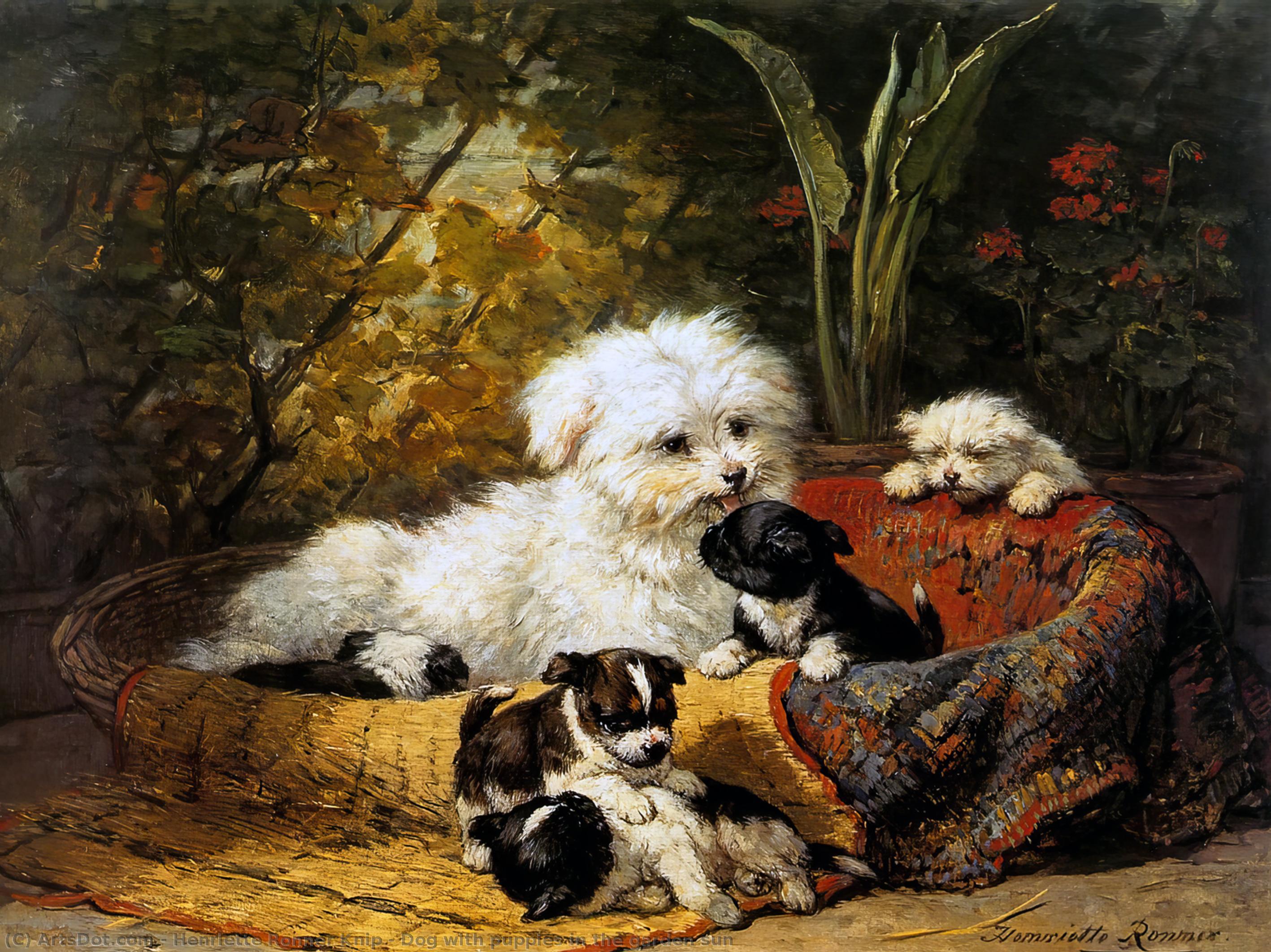Dog With Puppies In The Garden Sun — Анријета Ронер-книп