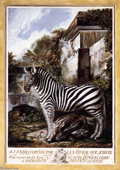 Zebra — Luis Paret Y Alcázar