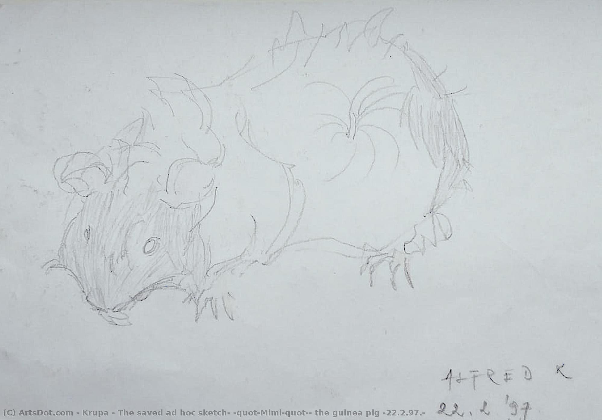 The Saved Ad Hoc Sketch: "mimi"- The Guinea Pig (22.2.97.) — Alfred Freddy Krupa