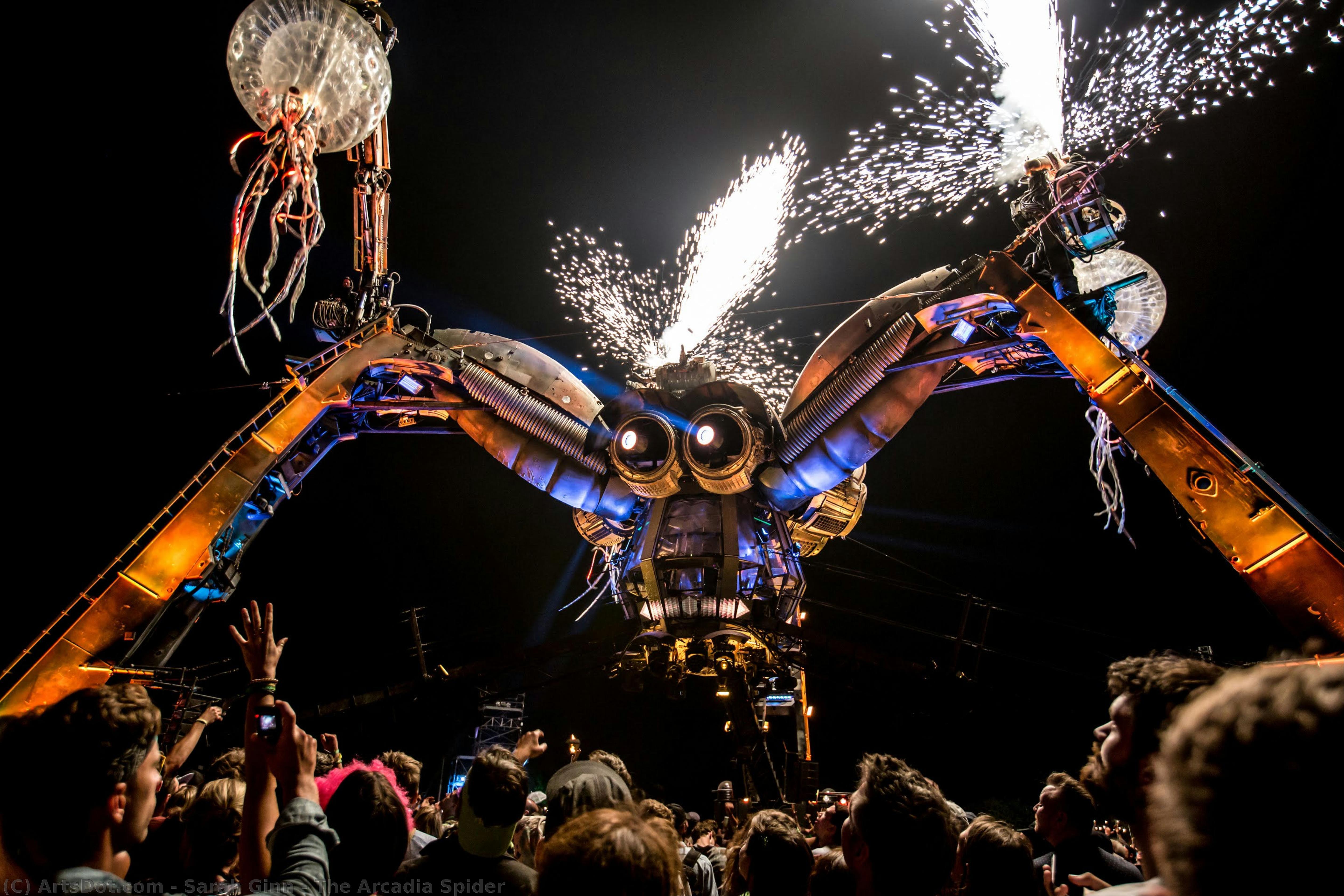 The Arcadia Spider — Sarah Ginn