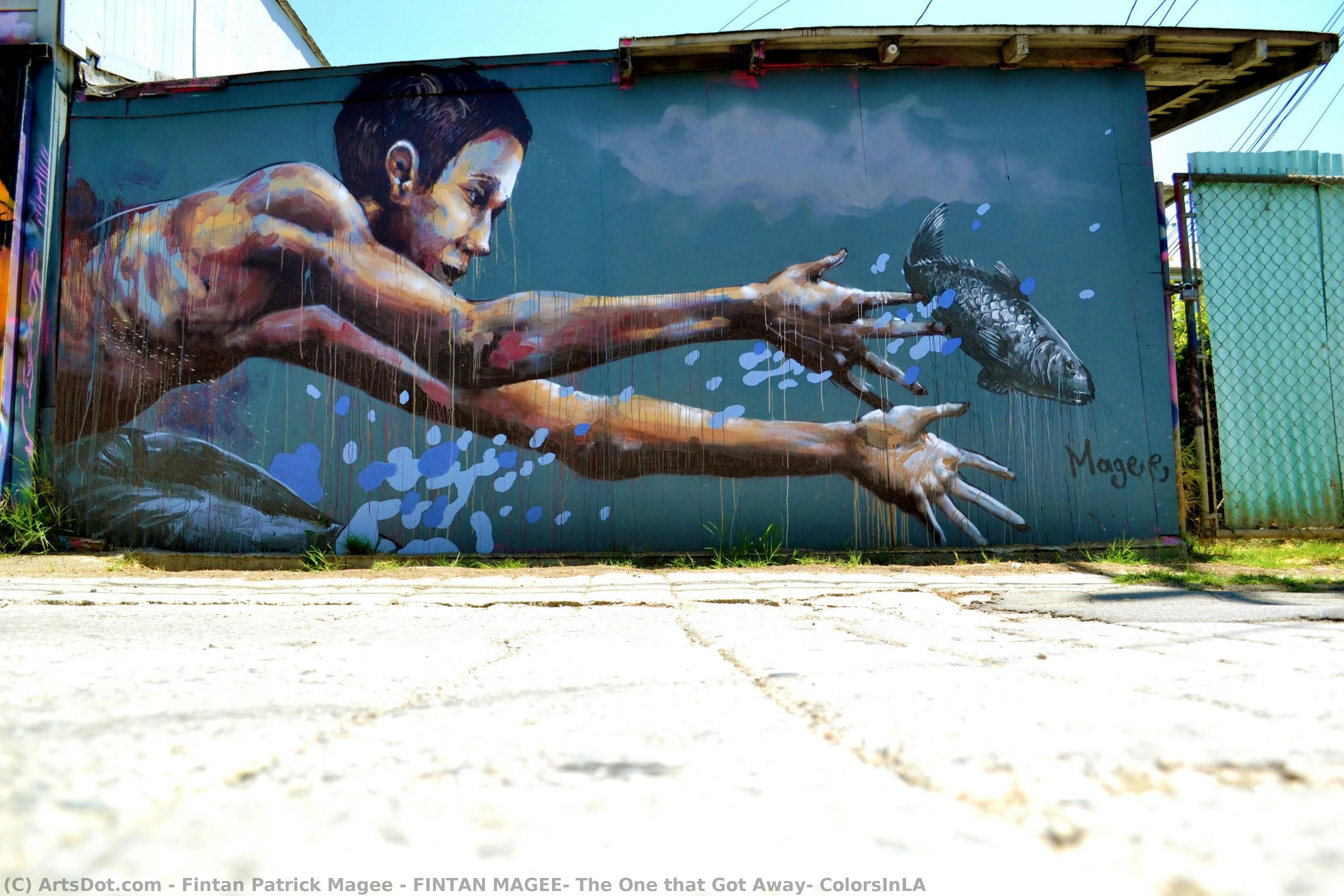 Fintan Magee, The One That Got Away, Colorsinla — Fintan Patrick Magee