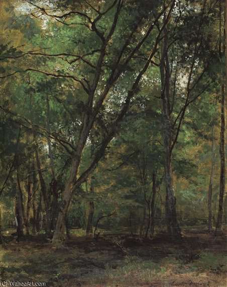 In The Forest — César De Cock