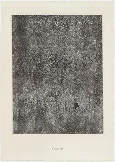 Discreet Life (vie Discrète) From The Portfolio Clean Slates (tables Rases) From Phenomena (les Phénomènes) — Jean Philippe Arthur Dubuffet