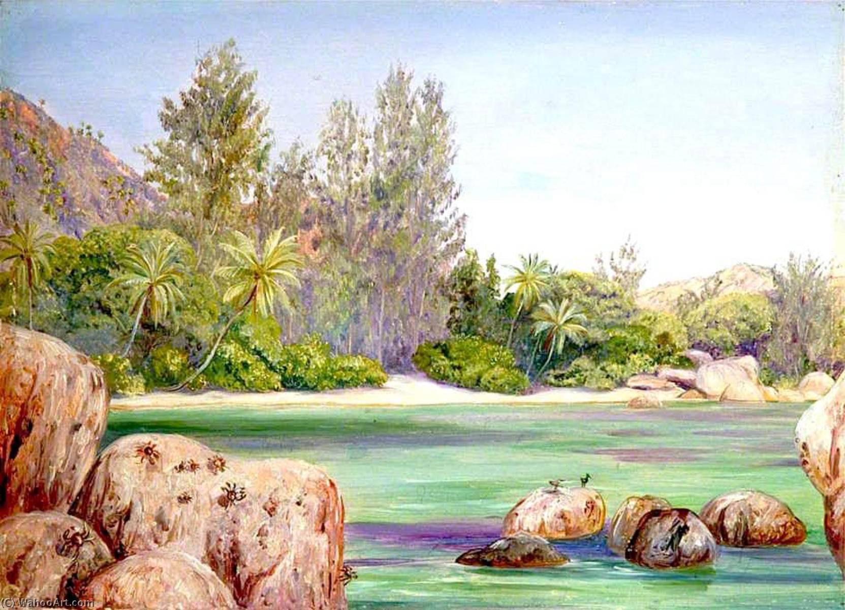 Life On The Coast Of Praslin, Seychelles — Marianne North