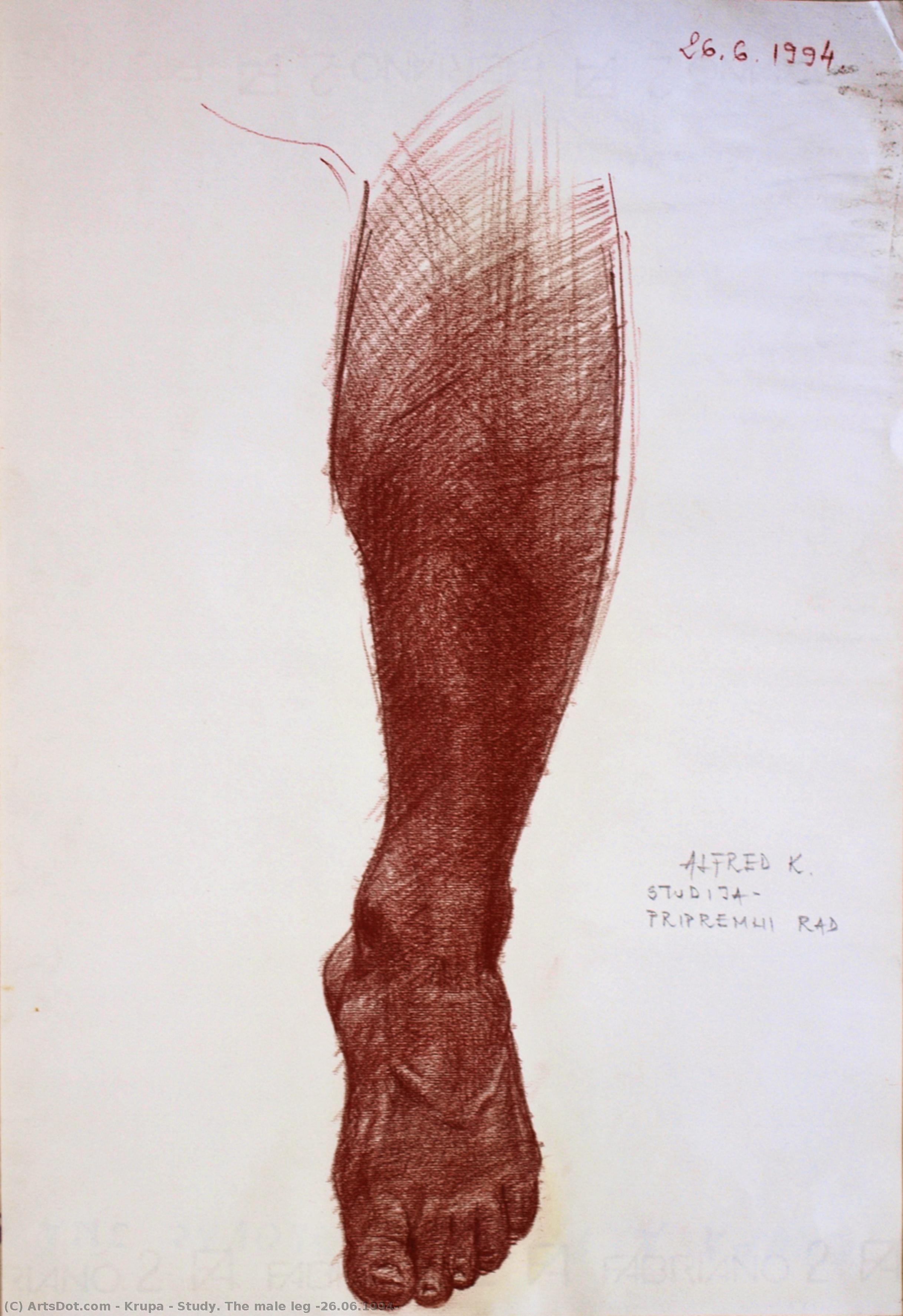 Study. The Male Leg (26.06.1994) — Krupa