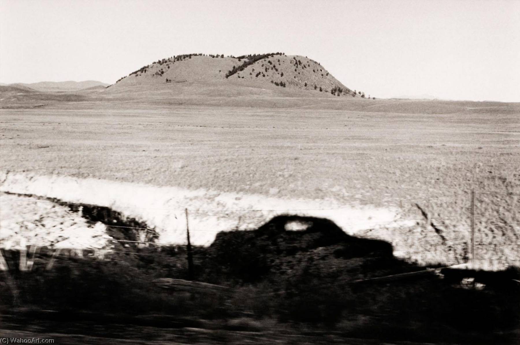 Autolandscape, Colorado — Elaine Mayes