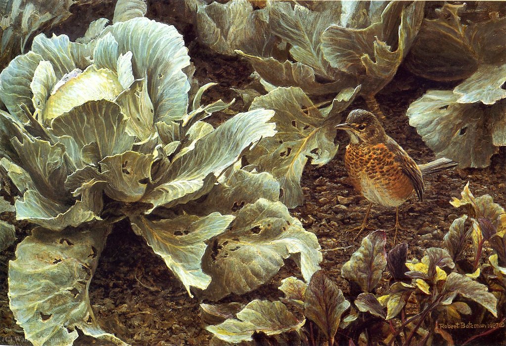 Untitled (746) — Robert Bateman