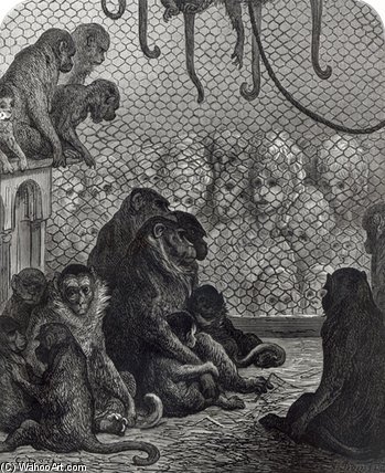 'london' Monkeys — Paul Gustave Doré