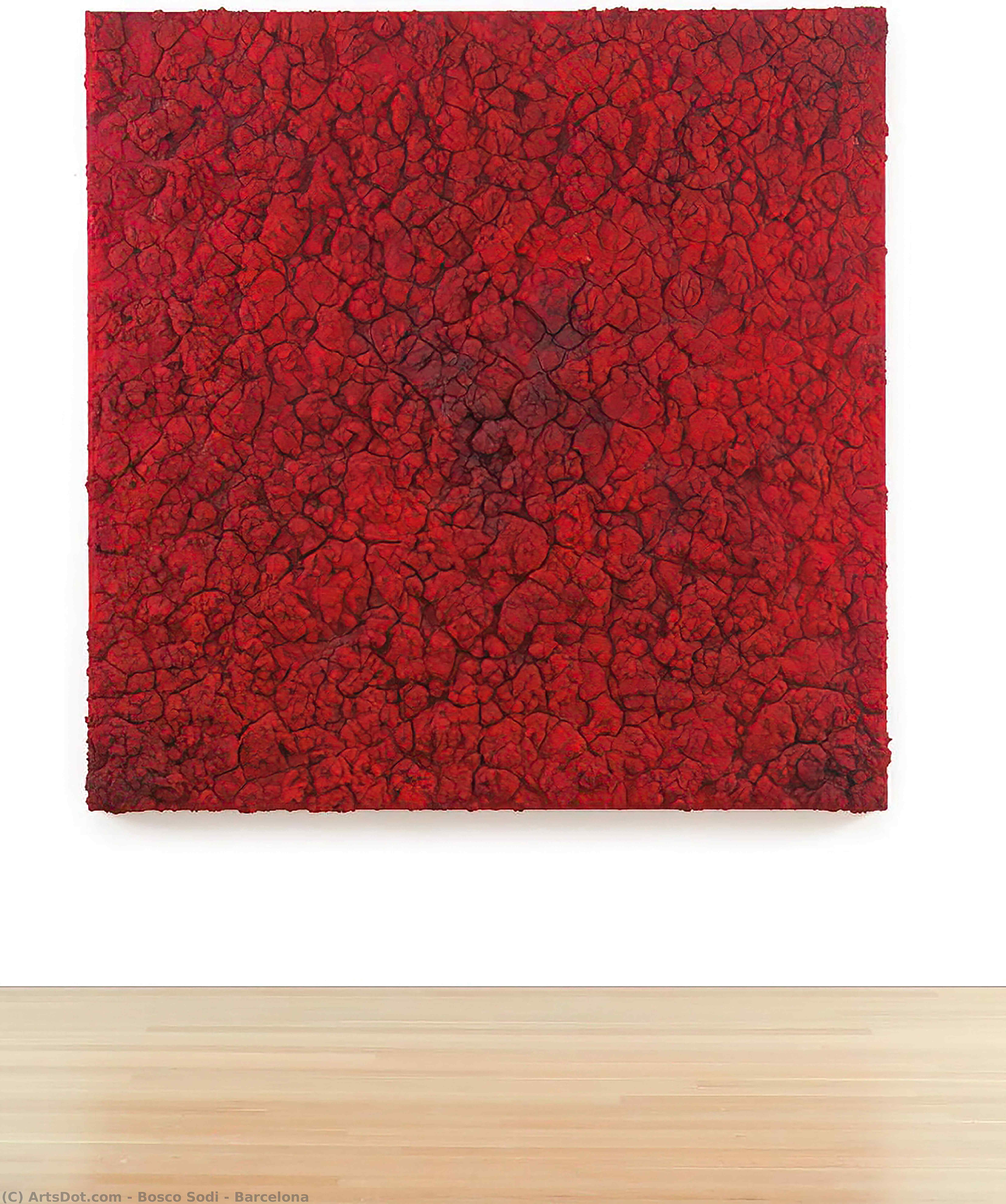 Barcelona — Bosco Sodi