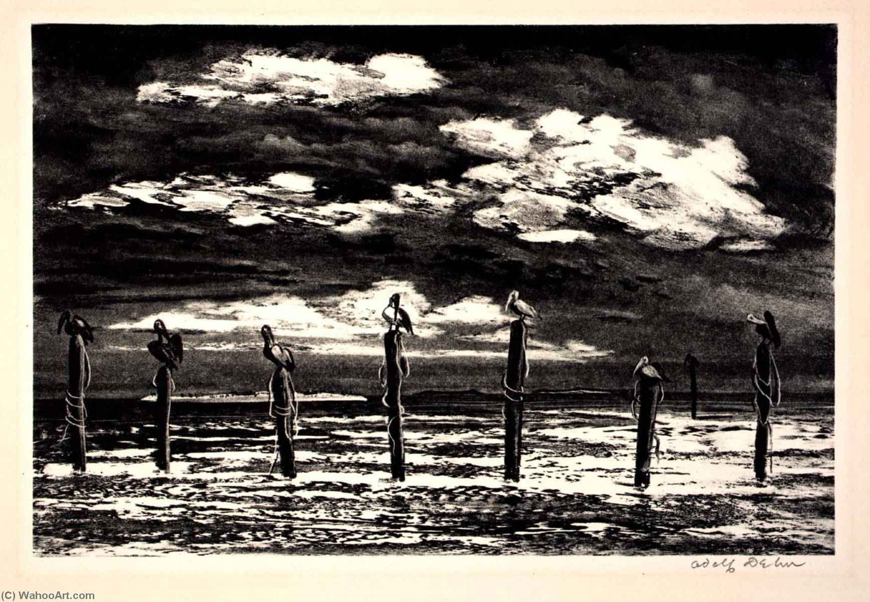 Pelicans At Key West — Adolf Dehn