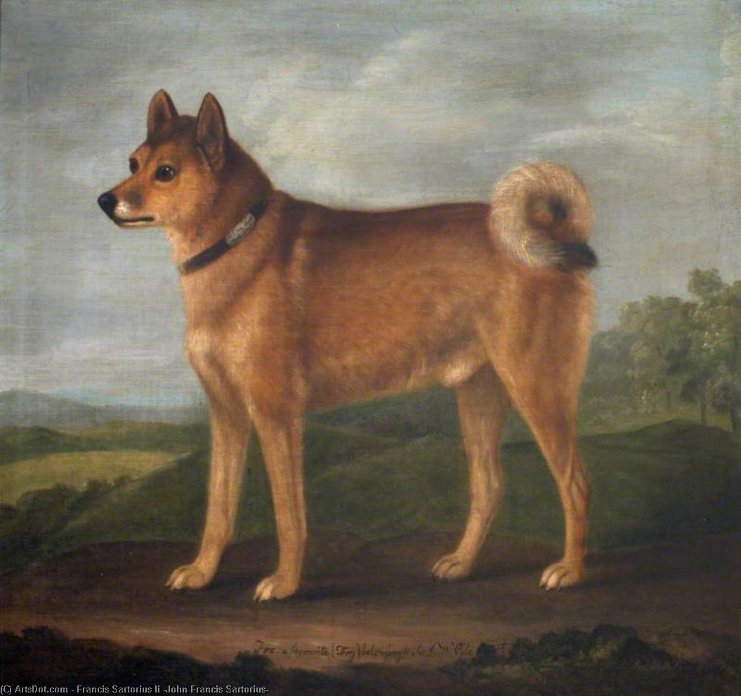 'fox', A Favourite Dog Of Sir John William De La Pole — Francis Sartorius Ii (john Francis Sartorius)