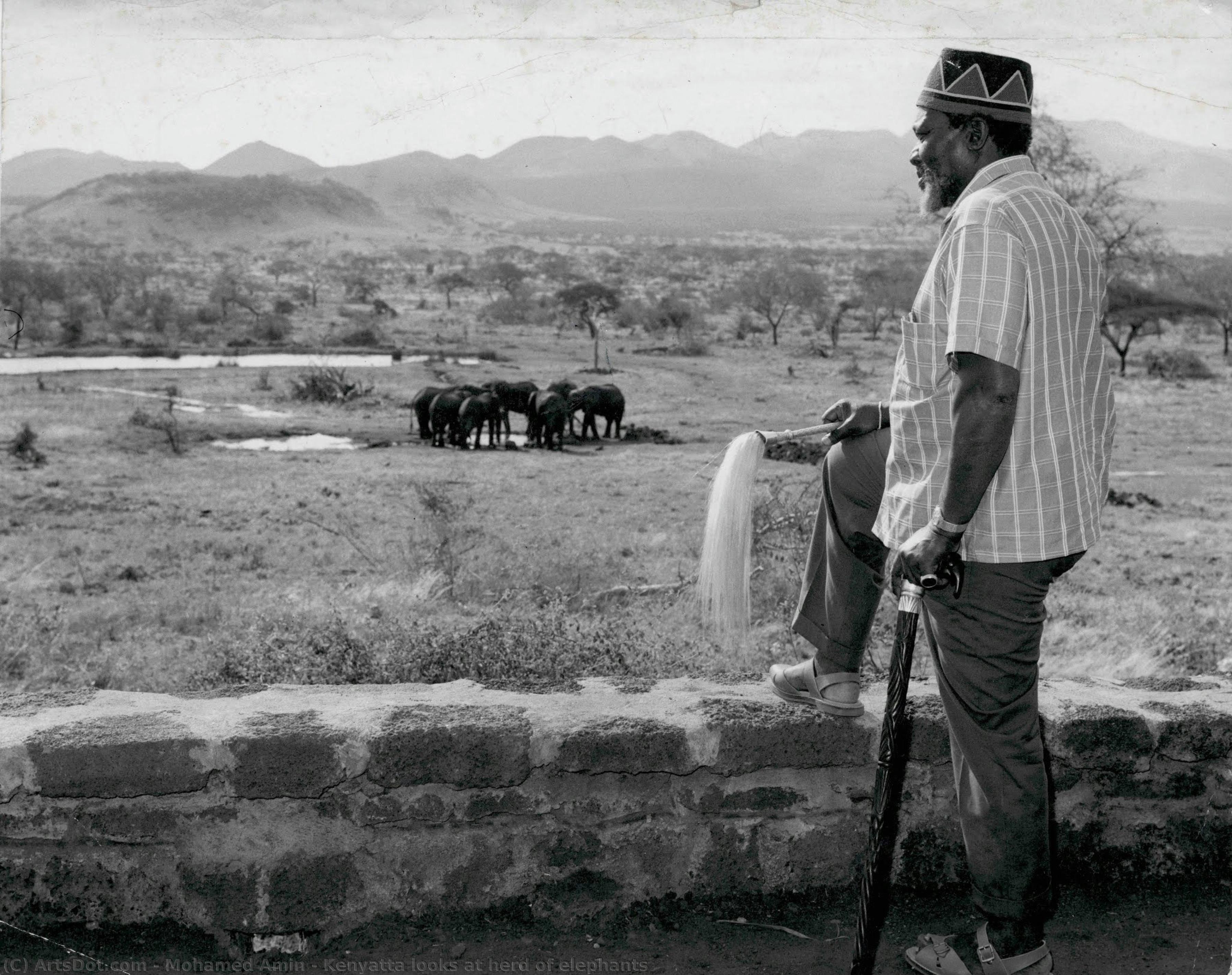 Kenyatta Looks At Herd Of Elephants — Mohamed Amin
