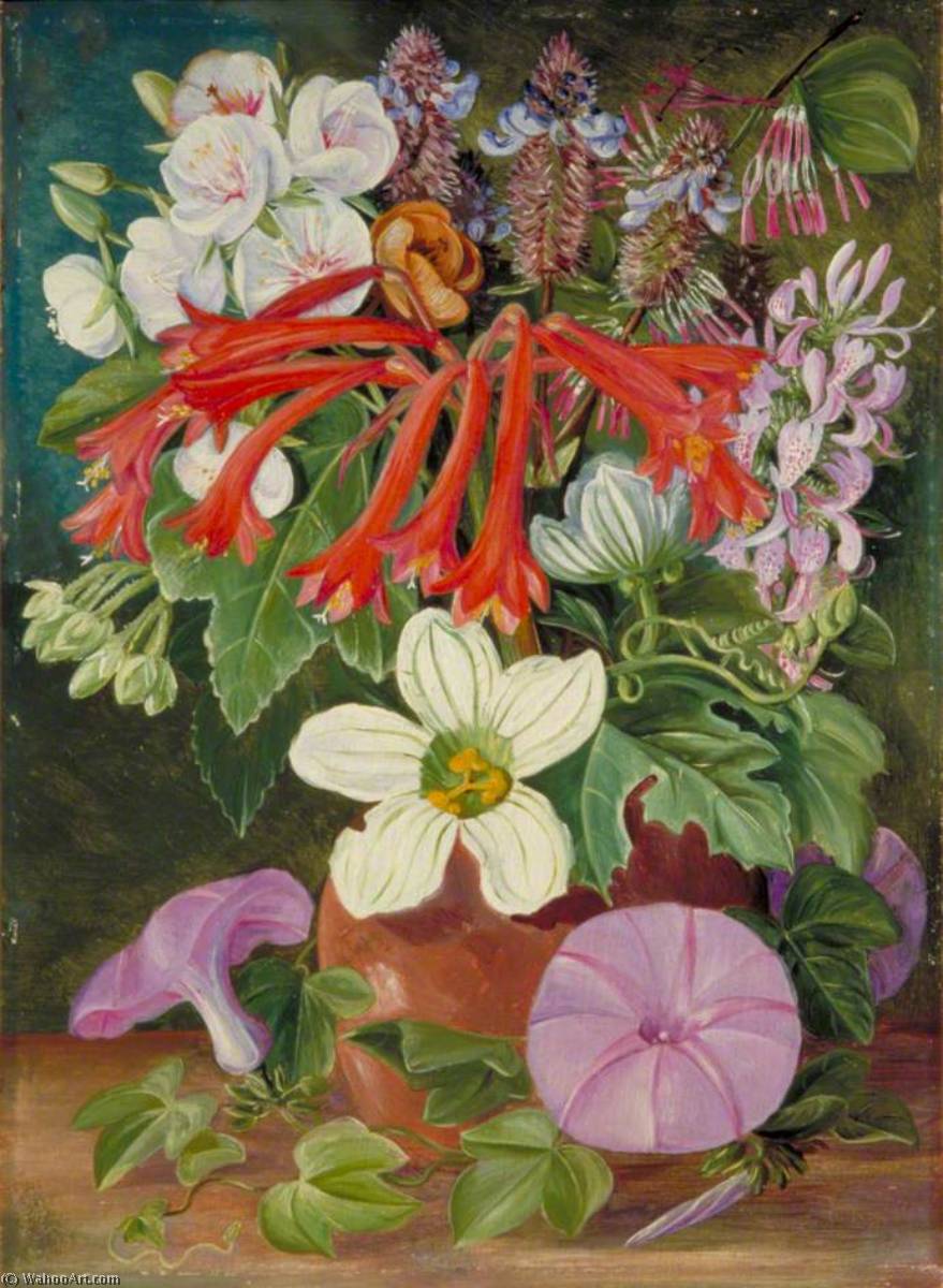 Group Of Natal Flowers — Marianne North
