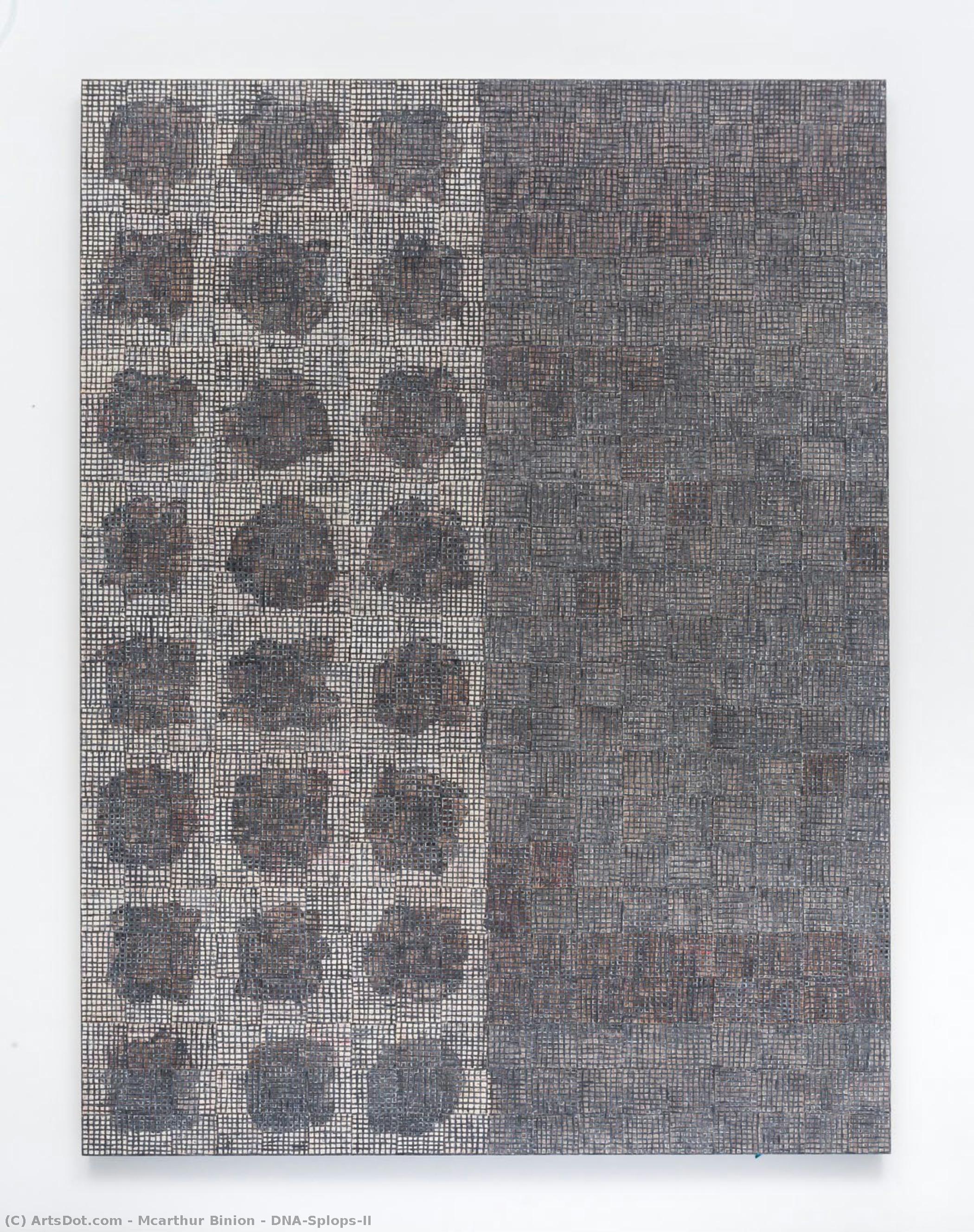 Dna:splops:ii — Mcarthur Binion