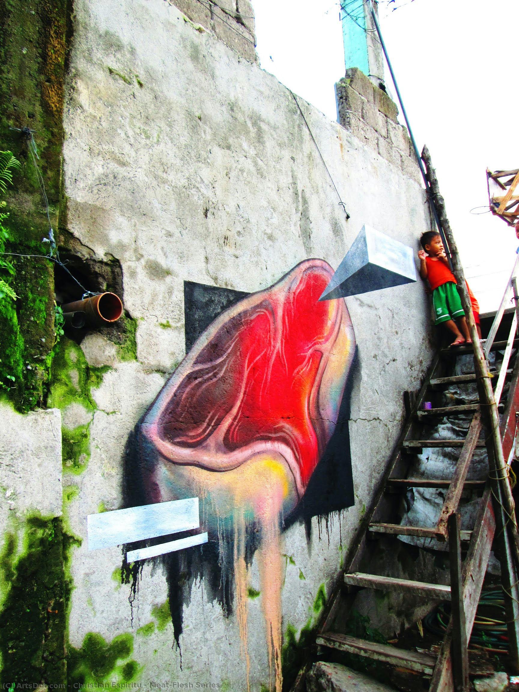 Meat/flesh Series — Crist Espiritu