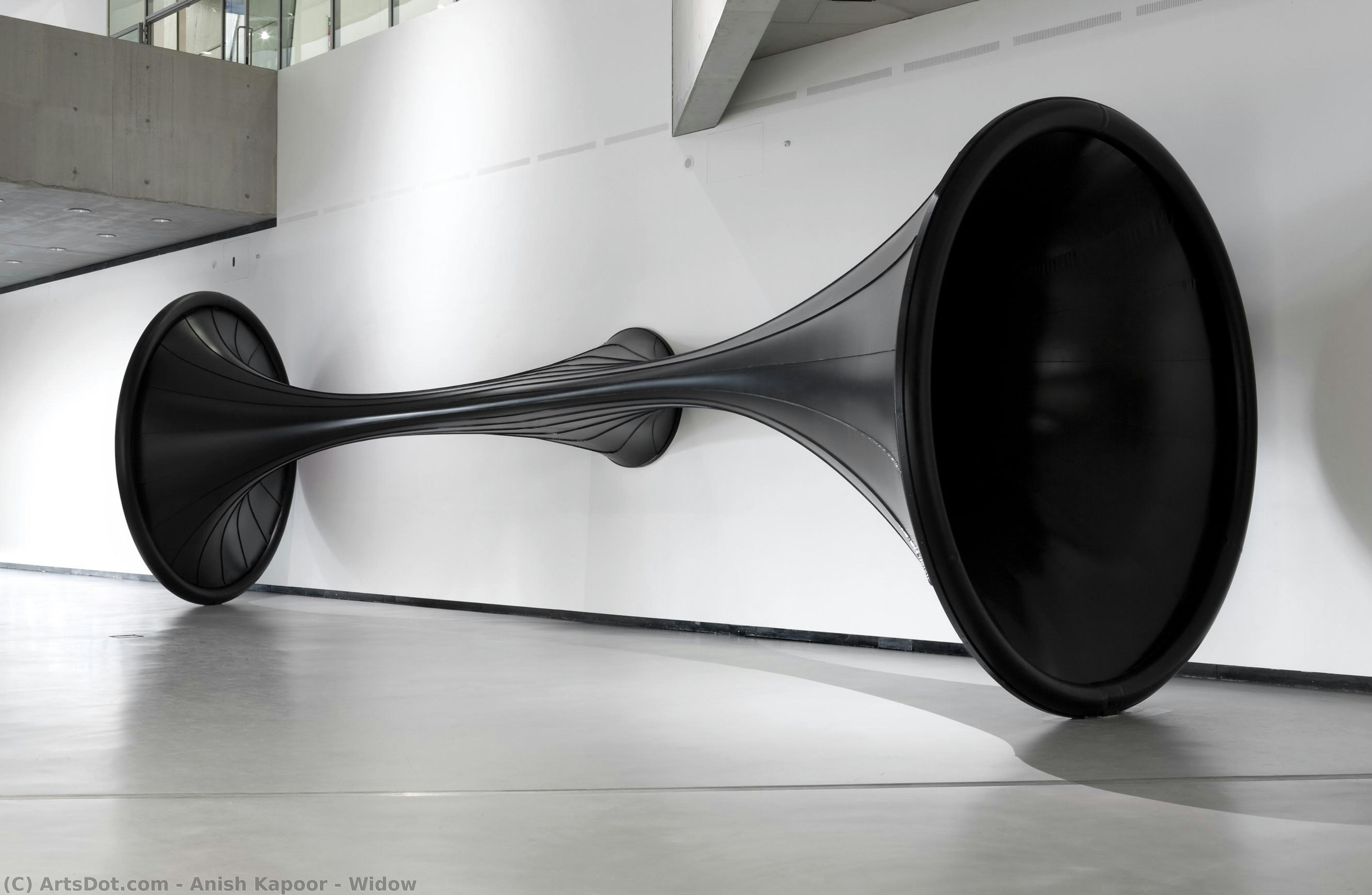 Widow — Anish Kapoor