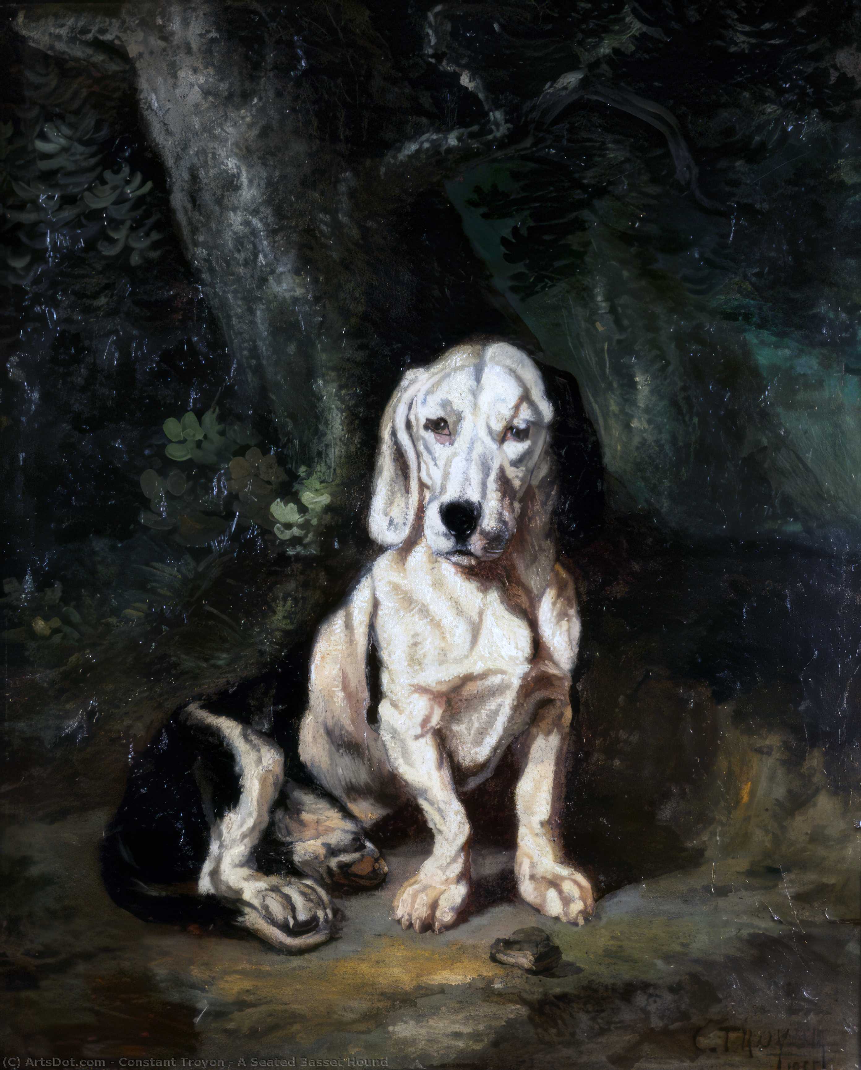 A Seated Basset Hound — Constant Troyon