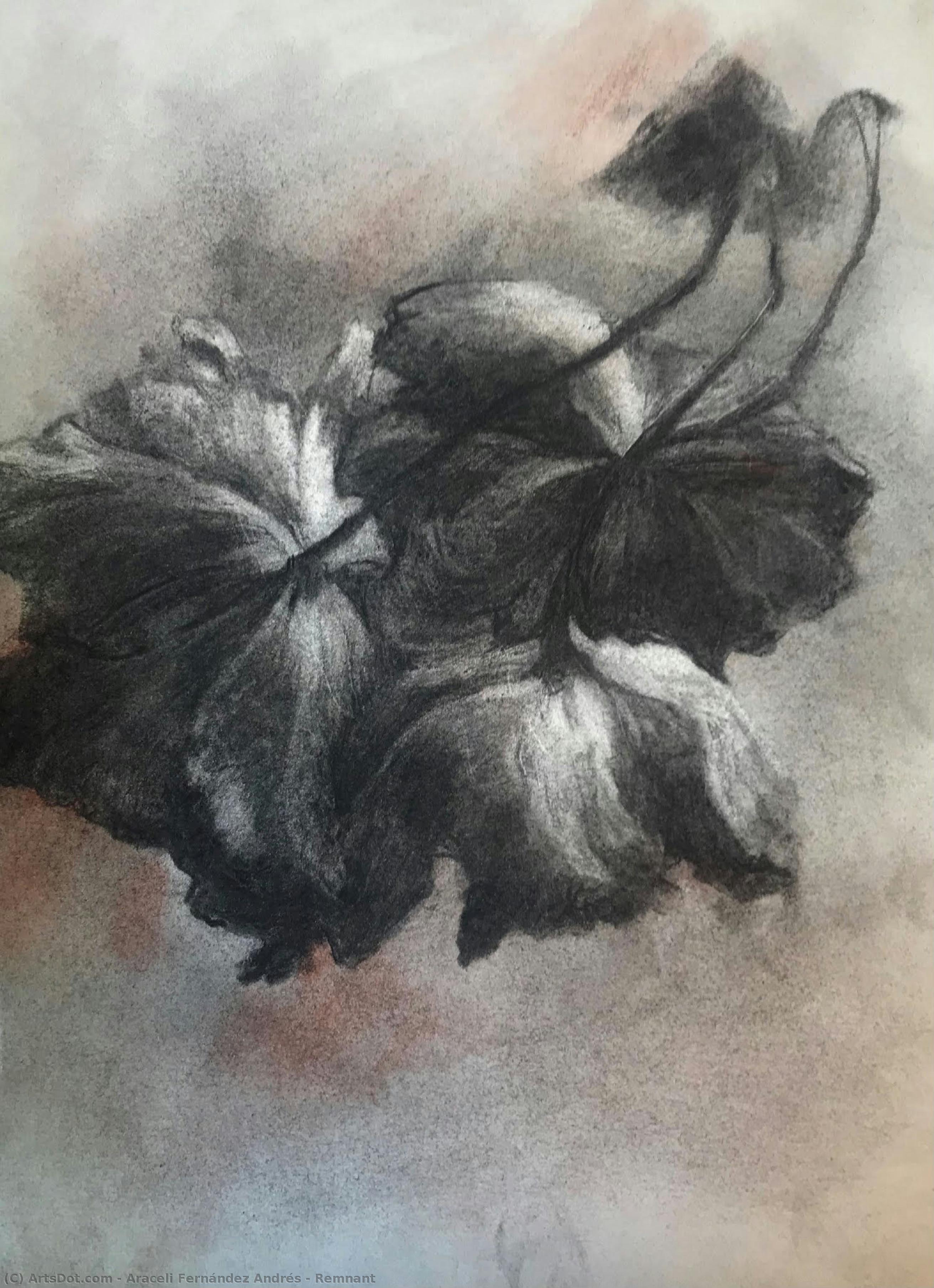 Remnant — Araceli Fernández Andrés
