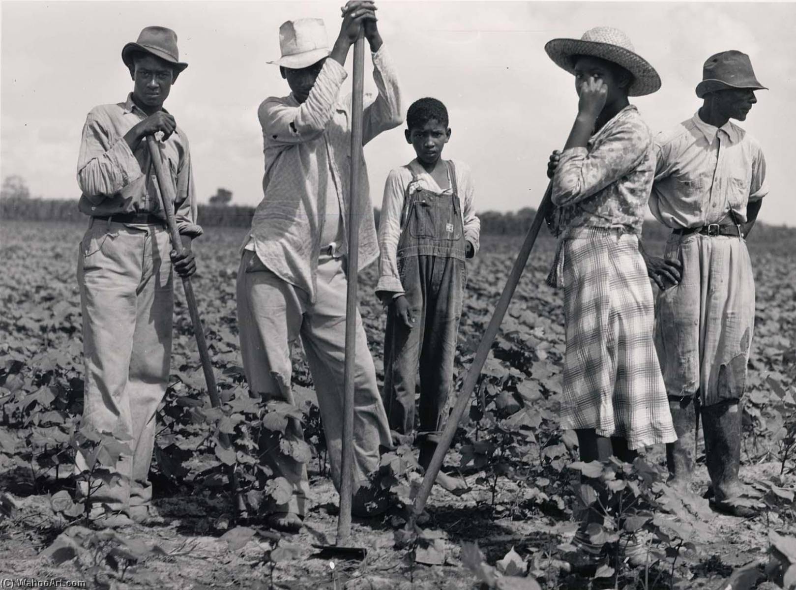 Negro Men And Women Working In A Field, Bayou Bourbeaux Plantation. Natchitoches, Louisiana — Marion Post Wolcott