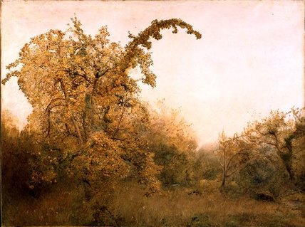 The Old Pear Tree — John William North