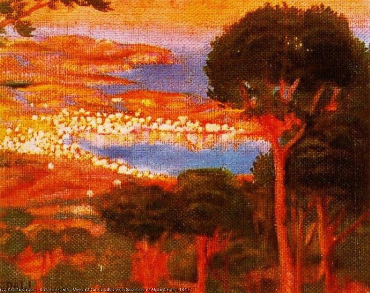 Vista De Cadaqués Con Sombra Del Monte Pani — Salvador Dalí