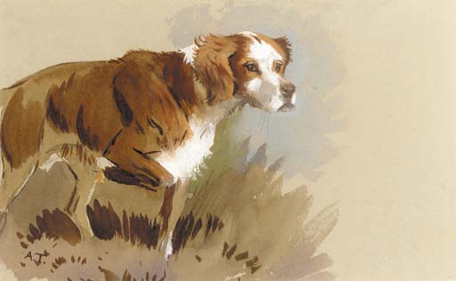 The Artist's Dog — Archibald Thorburn