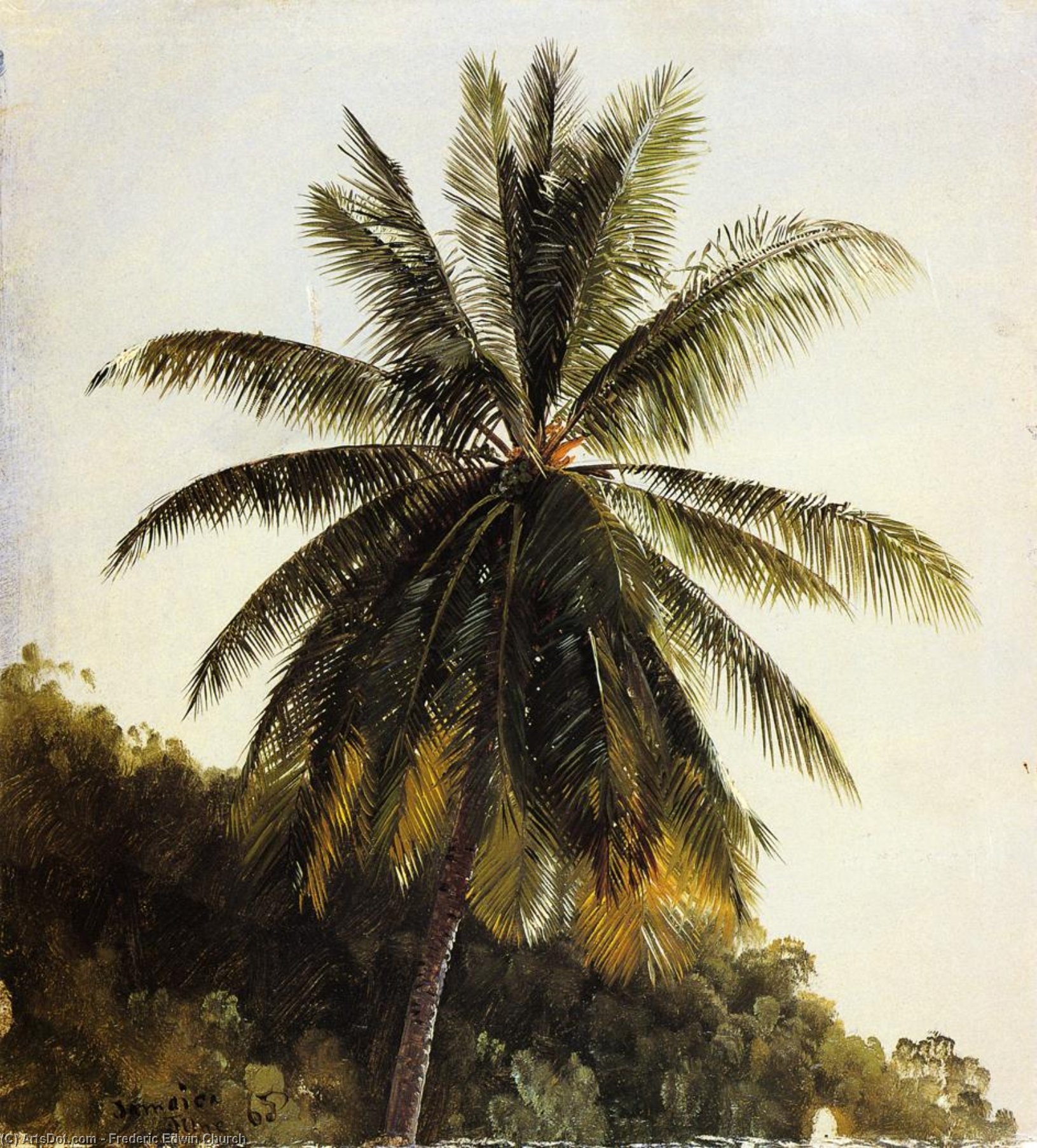 Palm Trees, West Indies — Frederic Edwin Church