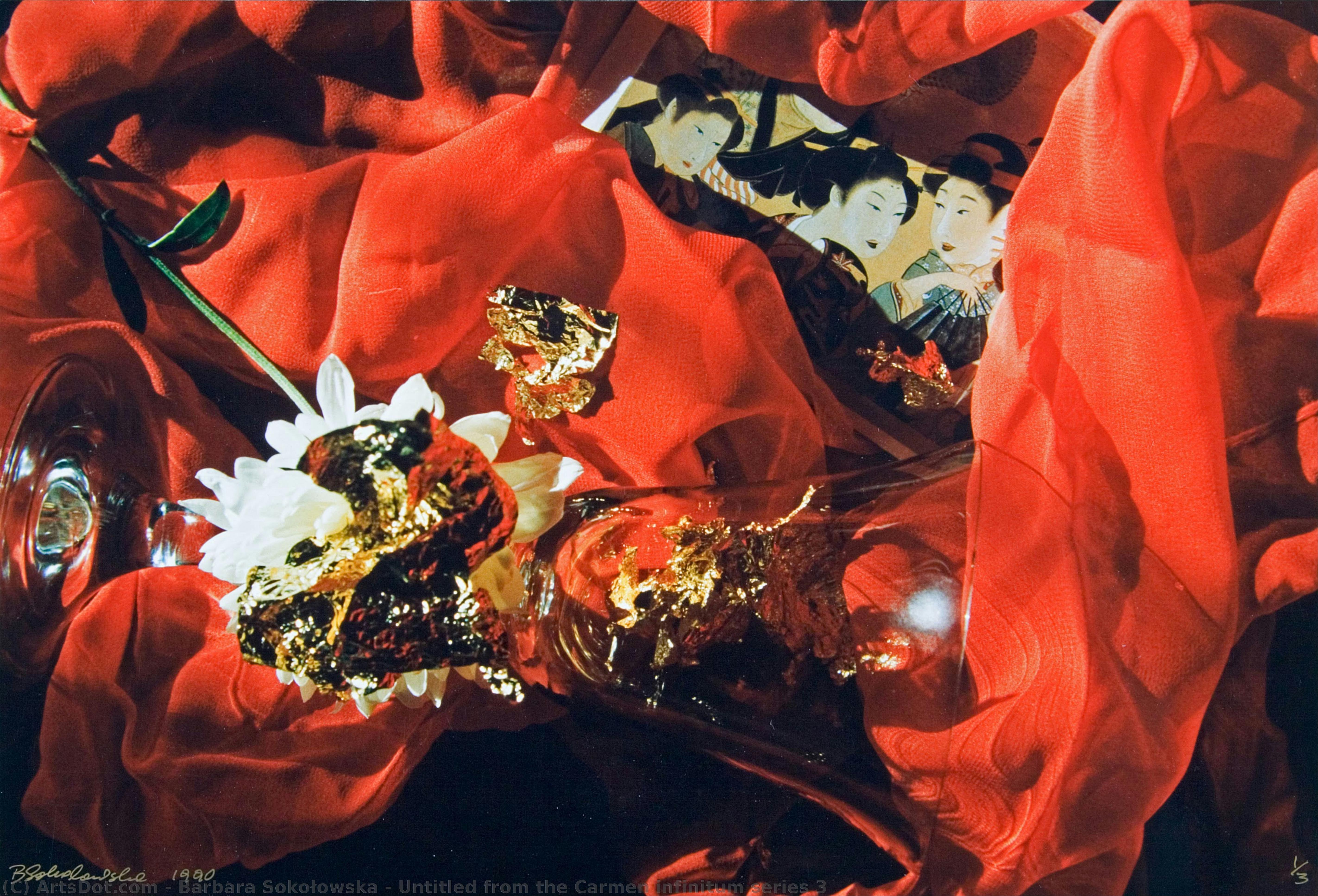 Untitled From The Carmen Infinitum Series 3 — Barbara Sokołowska