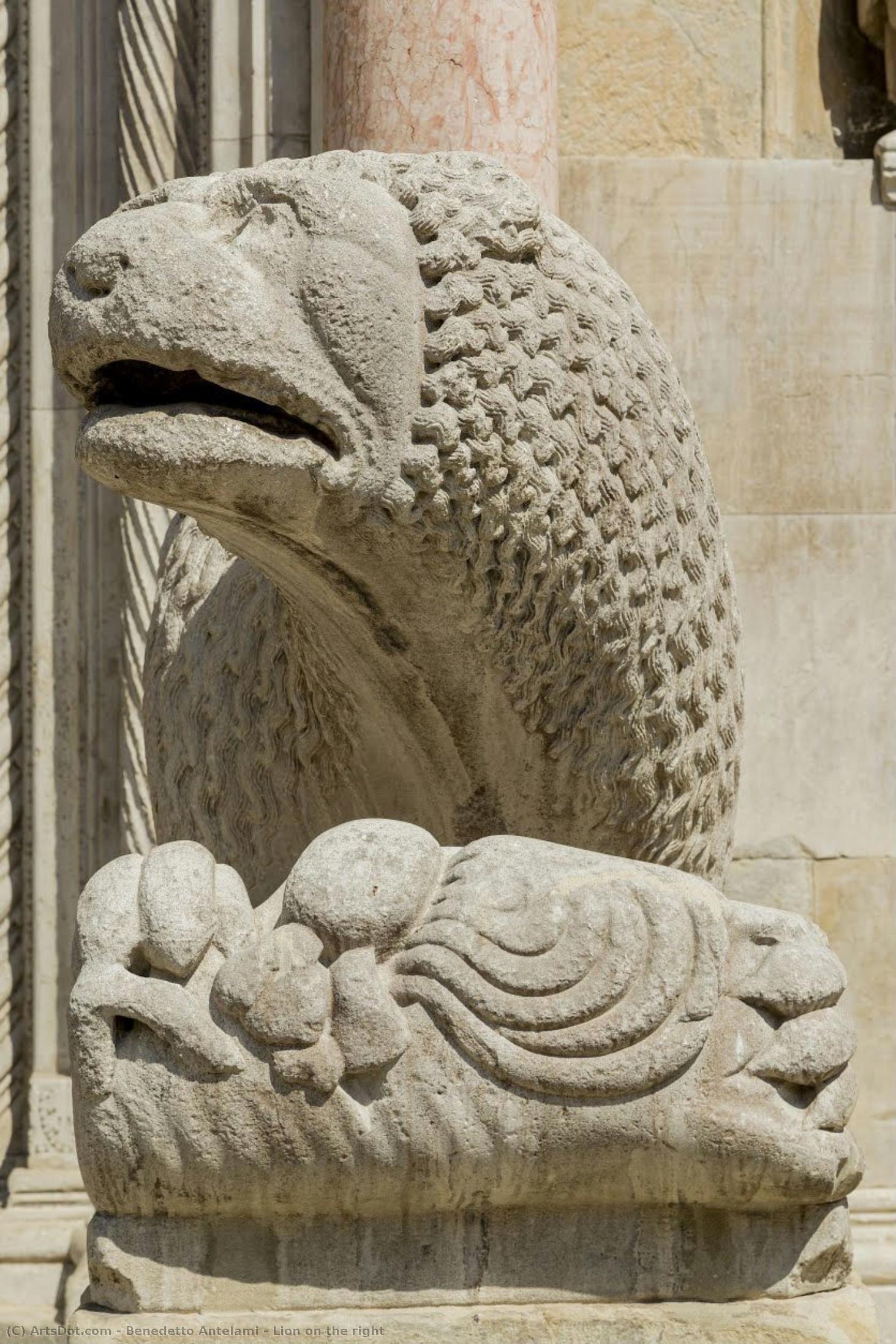 Lion On The Right — ベネデット・アンテルアミ