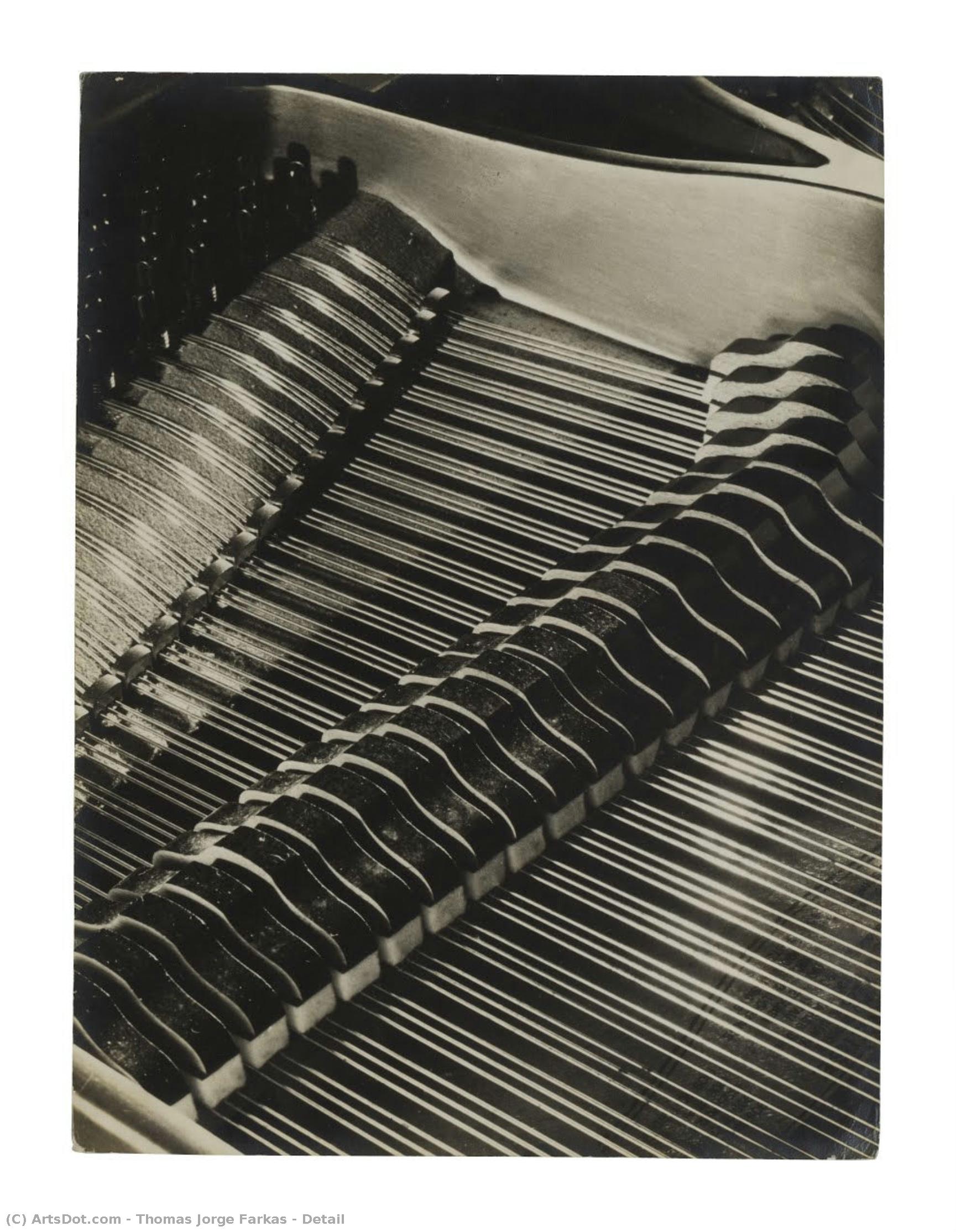 Detail — Thomas Jorge Farkas
