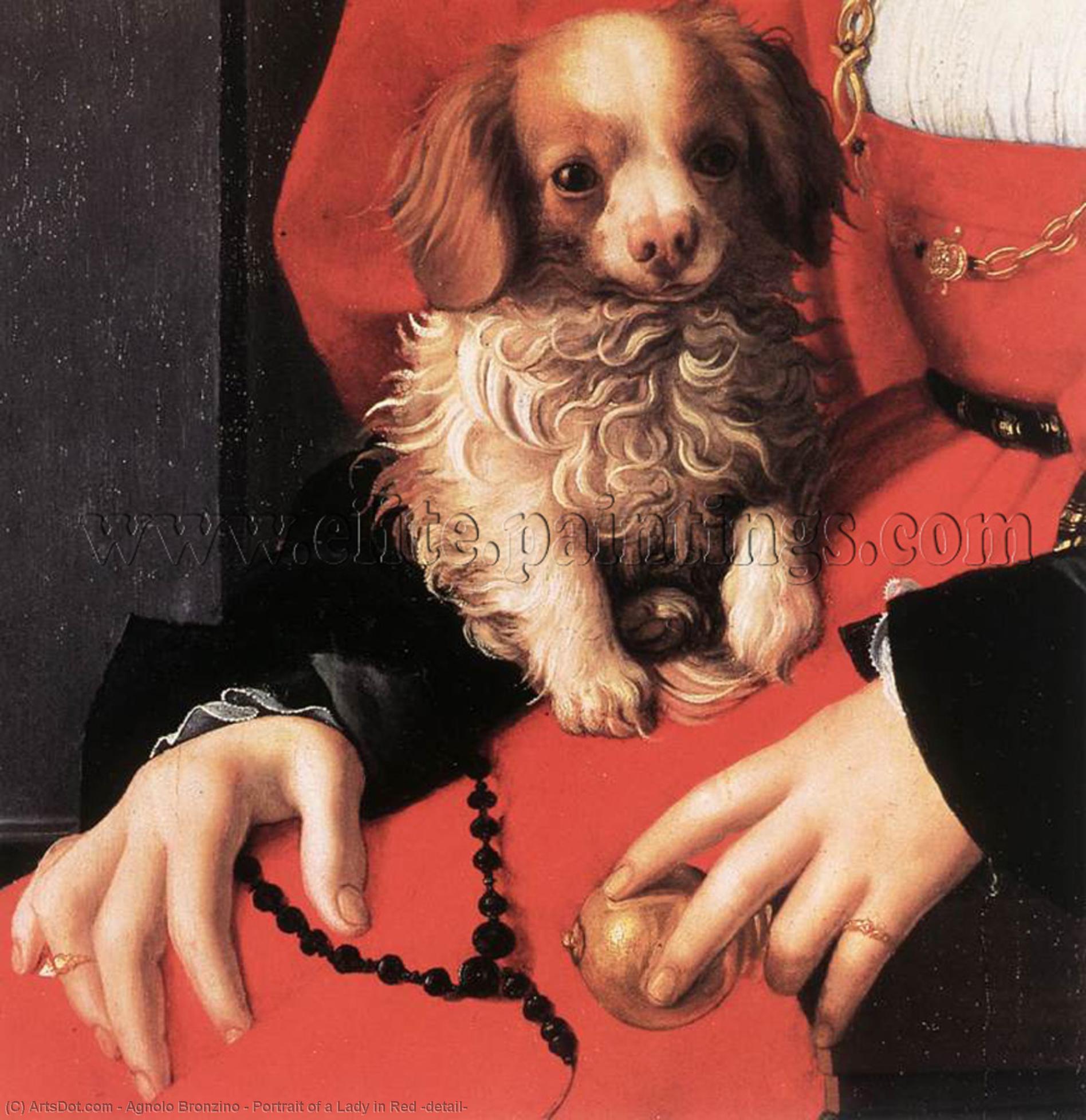 Retrato De Una Dama De Rojo (detalle) — Agnolo Bronzino