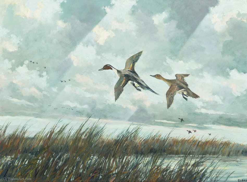 Pintails — Eric Sloane (everard Jean Hinrichs)