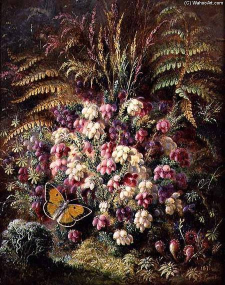 Bell Heather — Альбрехт Дюрер