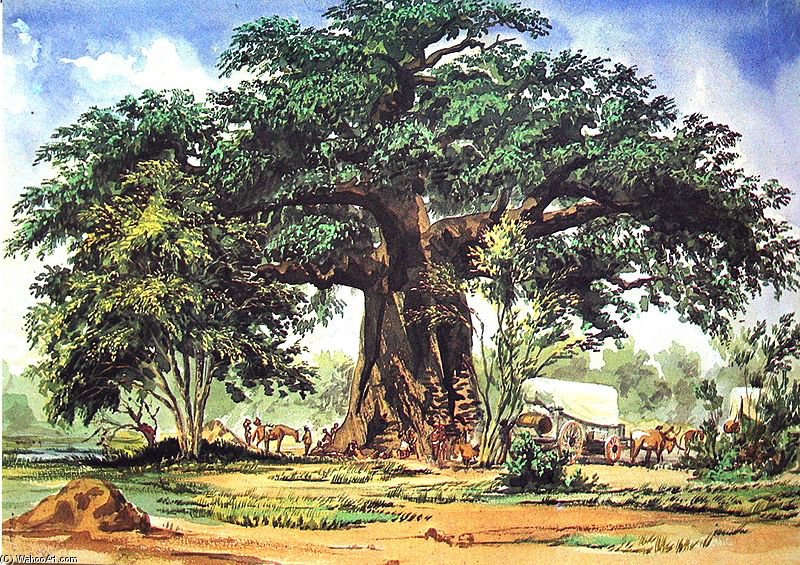 Baobab — Thomas Baines