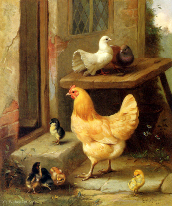 A Hen Chicks And Pigeons — Edgar Hunt