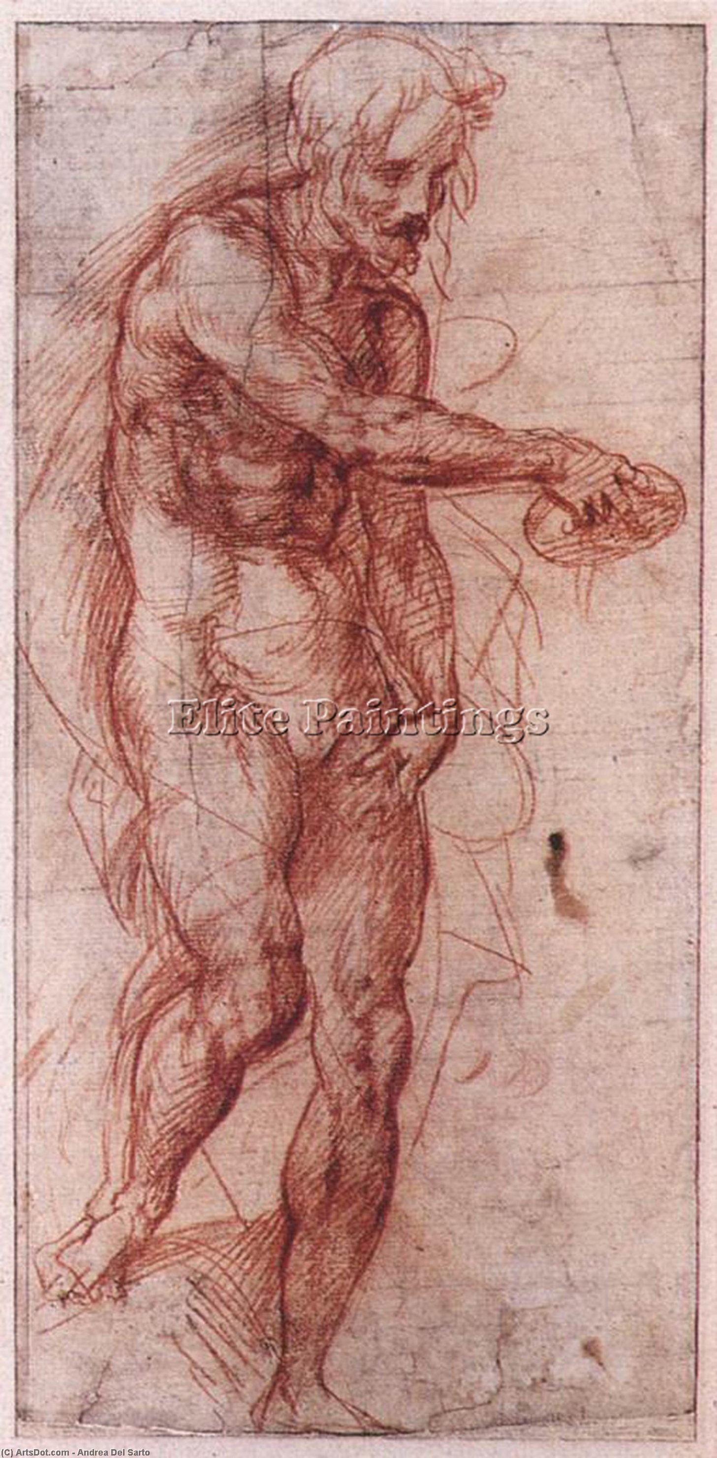 Study For The Baptism Of The People — Andrea Del Sarto
